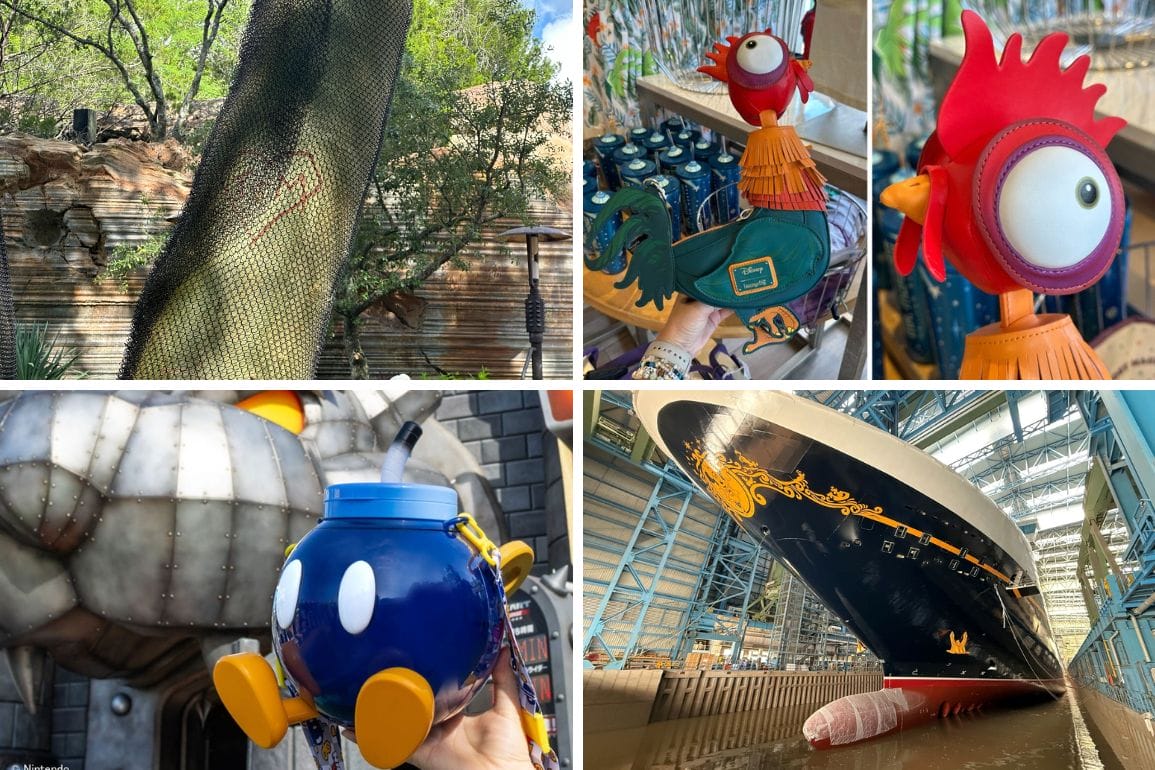 Collage of Disney-related items: tree damaged with protective netting, rooster sipper, blue teapot sipper, and cruise ship.