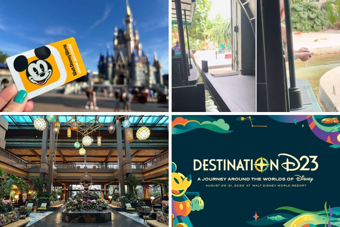 Collage: Disney World castle, Mickey card, resort lobby, animal enclosure, and daily recap of Destination D23 event.