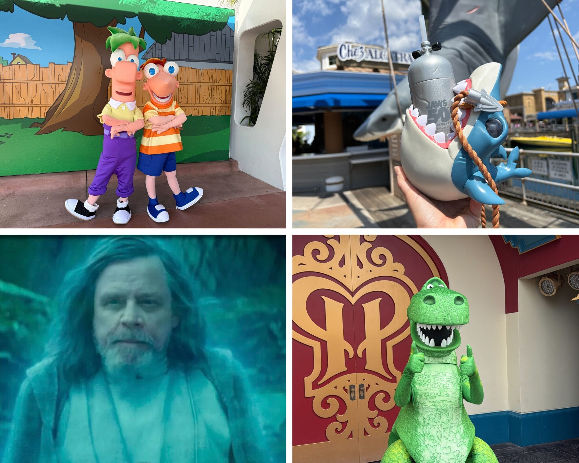 Clockwise: two cartoon mascots, shark drink cup, TEMPLATE in costume, older man in robe with beard and long hair.