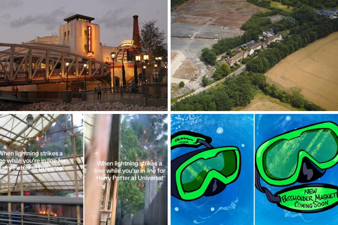 A collage of five images, including a theme park, Disney Restaurant Workers, Harry Potter text, and scuba goggles.