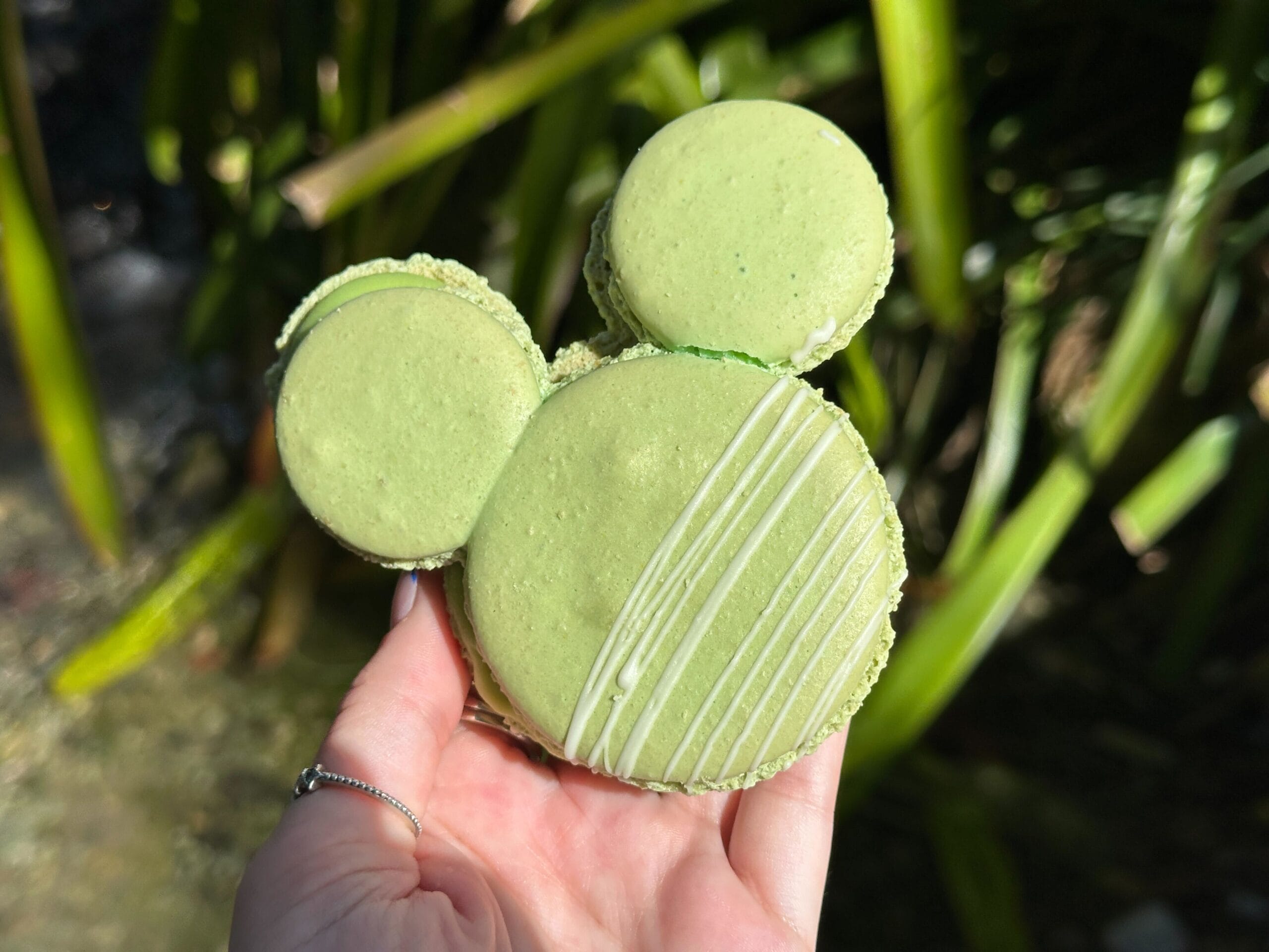A hand holds a green Mickey Mouse-shaped macaron with white icing, with plants in the background.