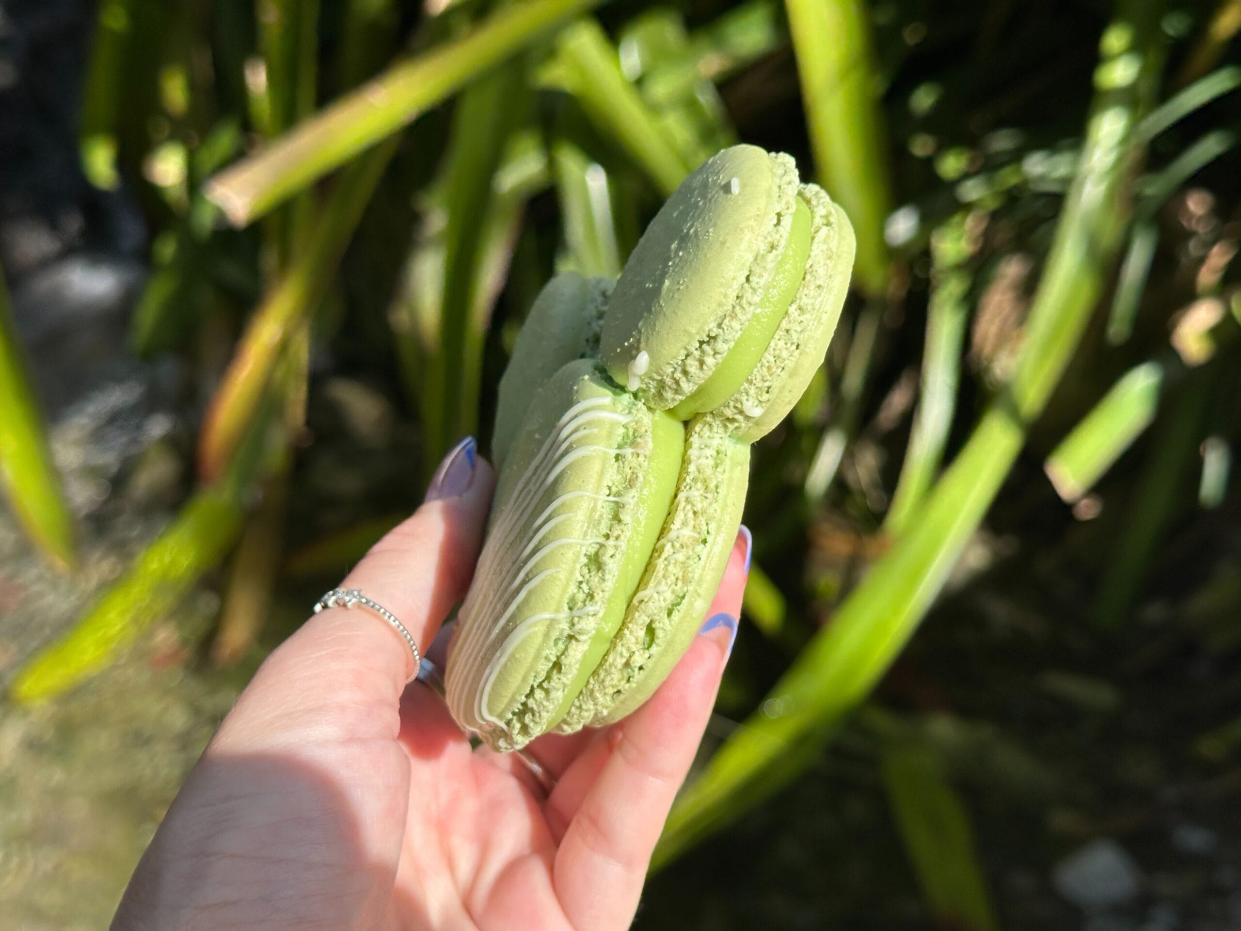 A hand holding three green macarons with plants in the blurred background.