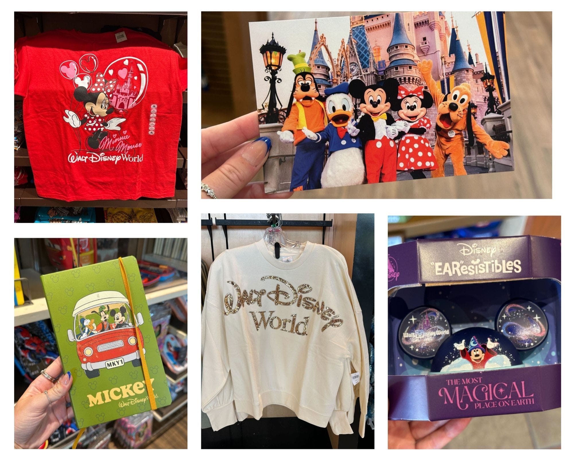 Collage of new WDW branded merchandise:
