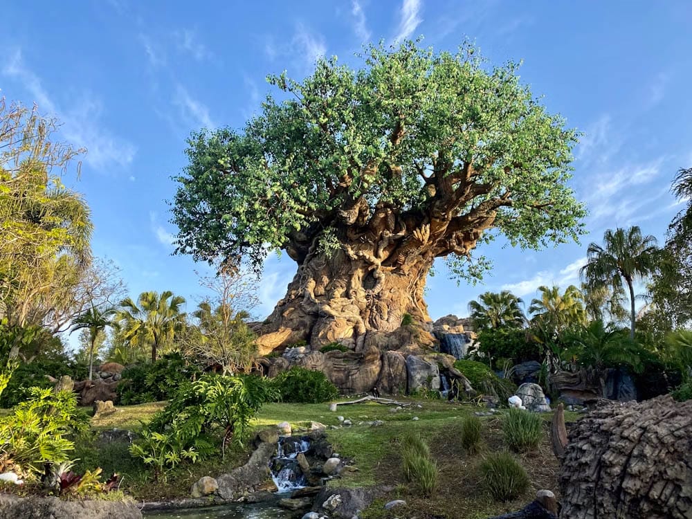 The tree of life at Disney Animal Kingdom, one of the parks you can use your walt disney world annual pass at