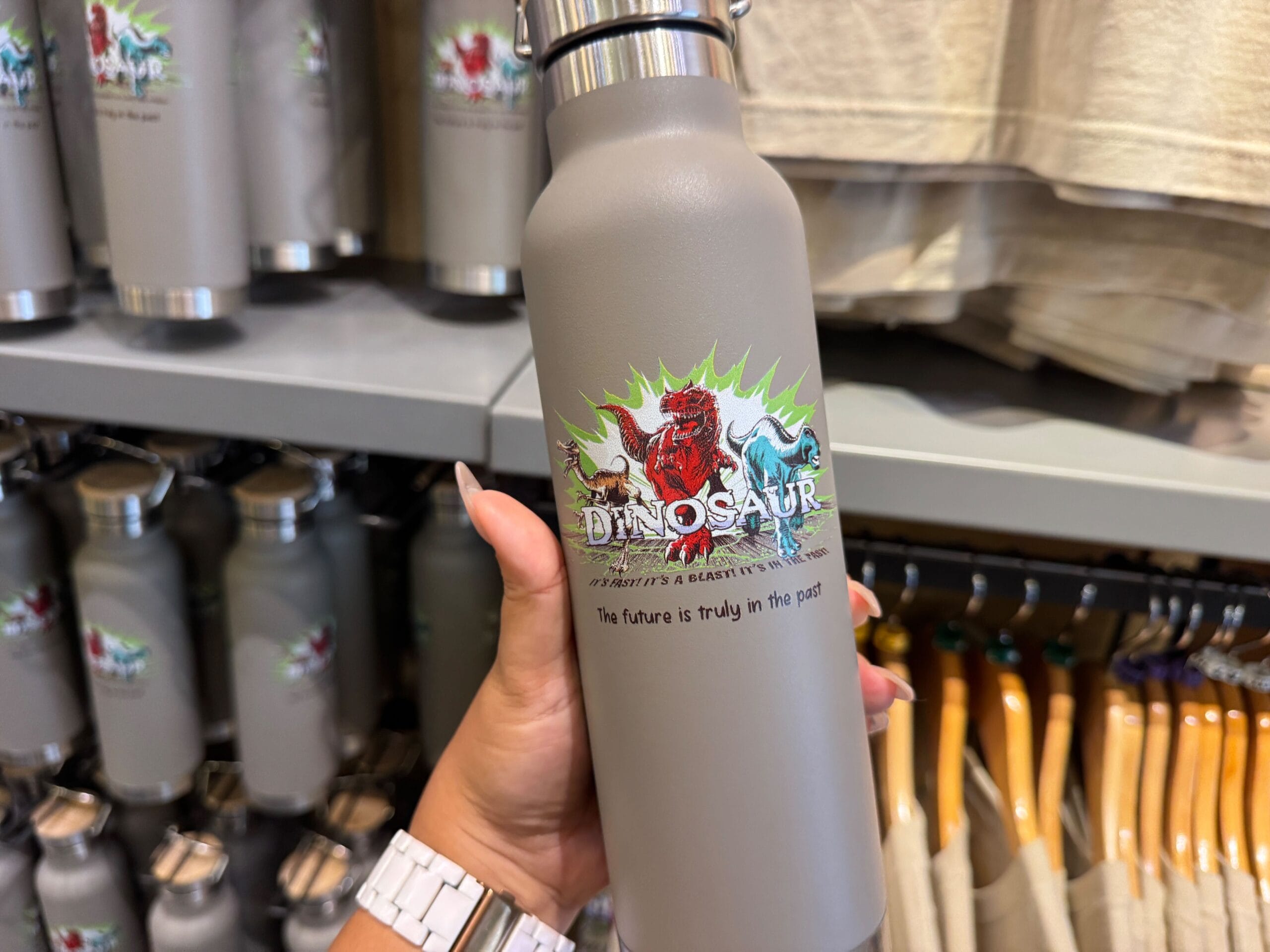 Hand holding a gray water bottle with a dinosaur graphic and the text "DINOSAUR - The future is truly in the past.