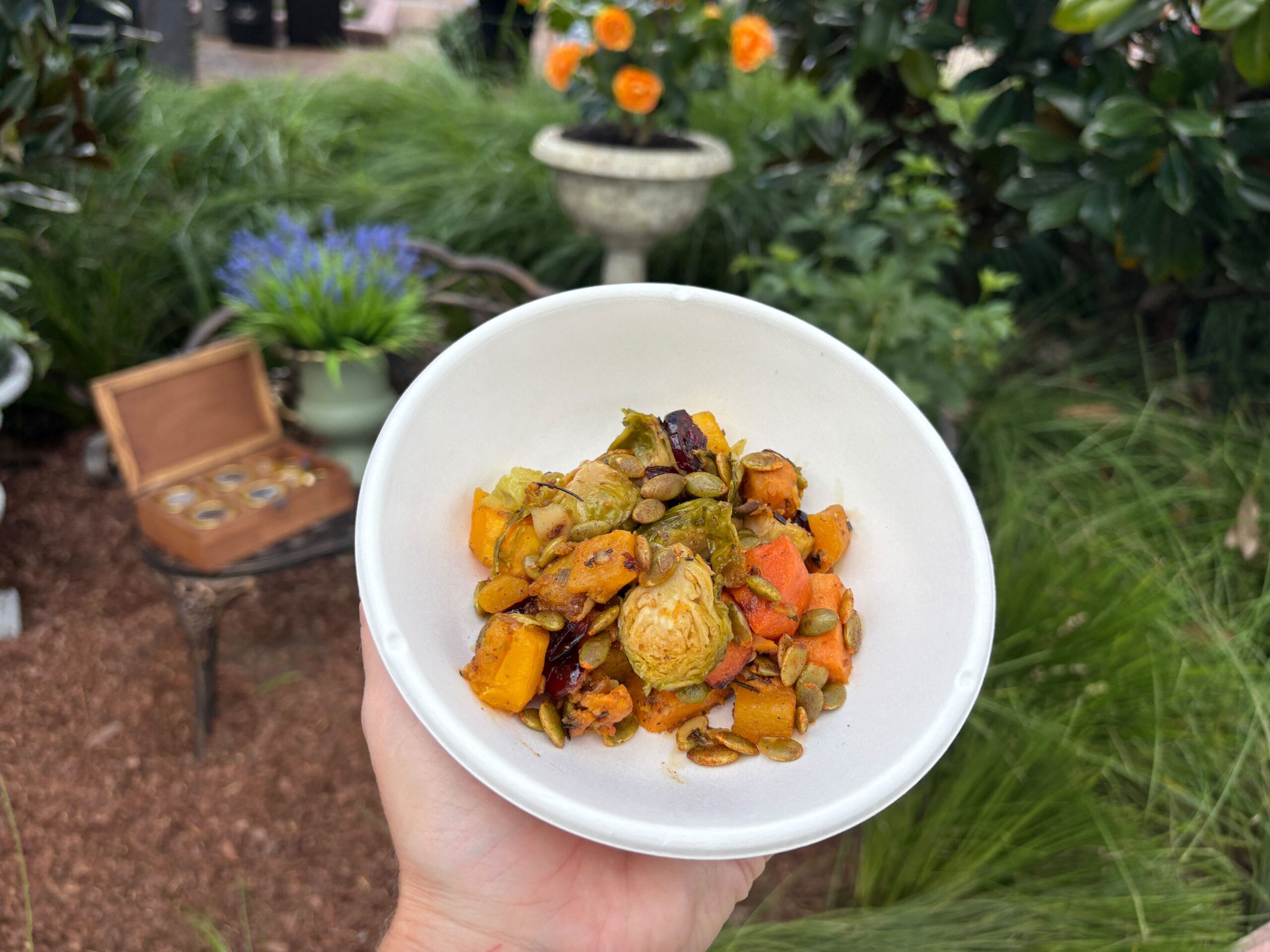 A hand holds a bowl of roasted vegetables and seeds outdoors, perfect for any Food & Wine enthusiast.