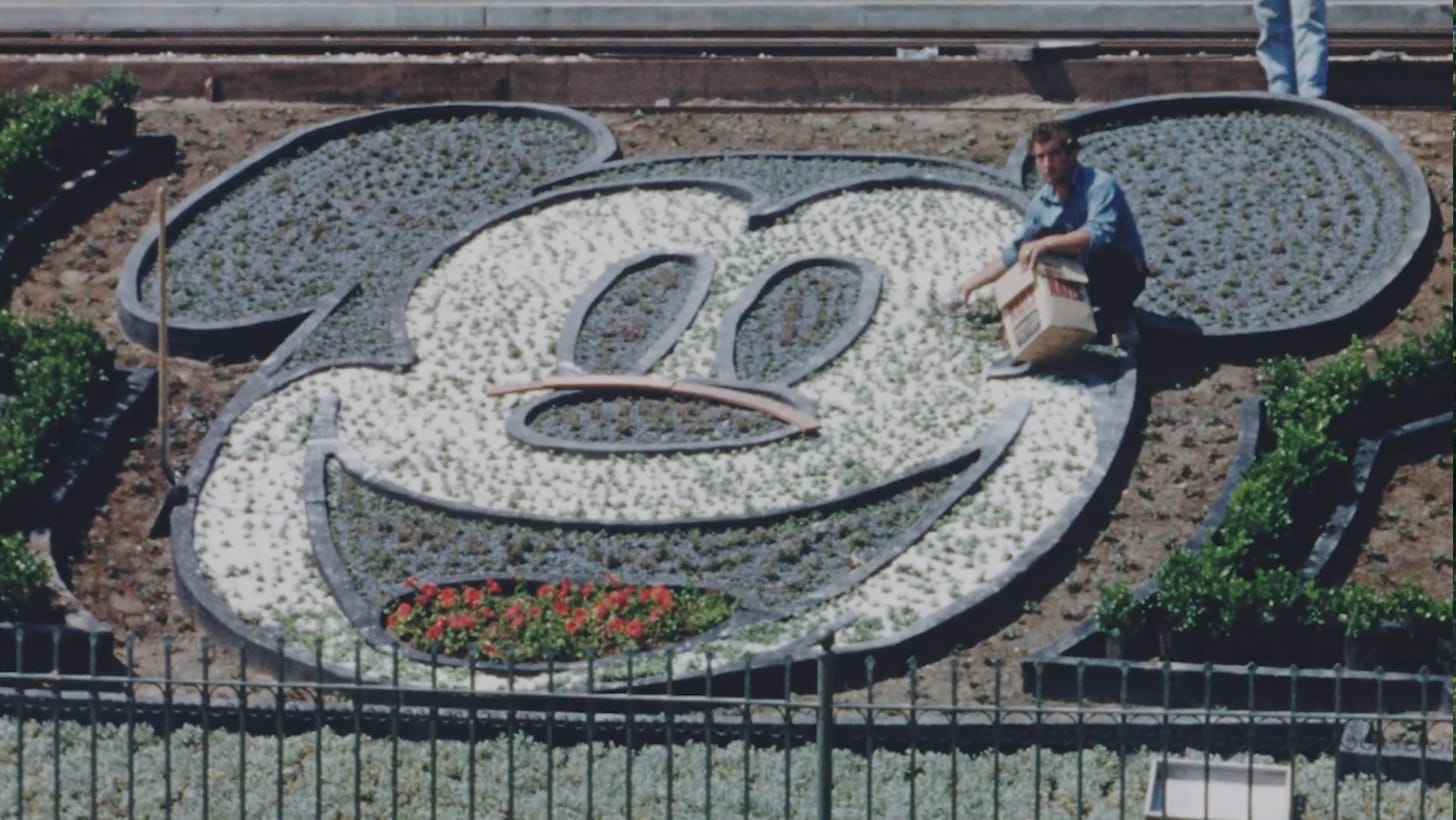 A gardener tends a large flowerbed shaped like a cartoon mouse face at Disneyland, partially filled with bright flowers.