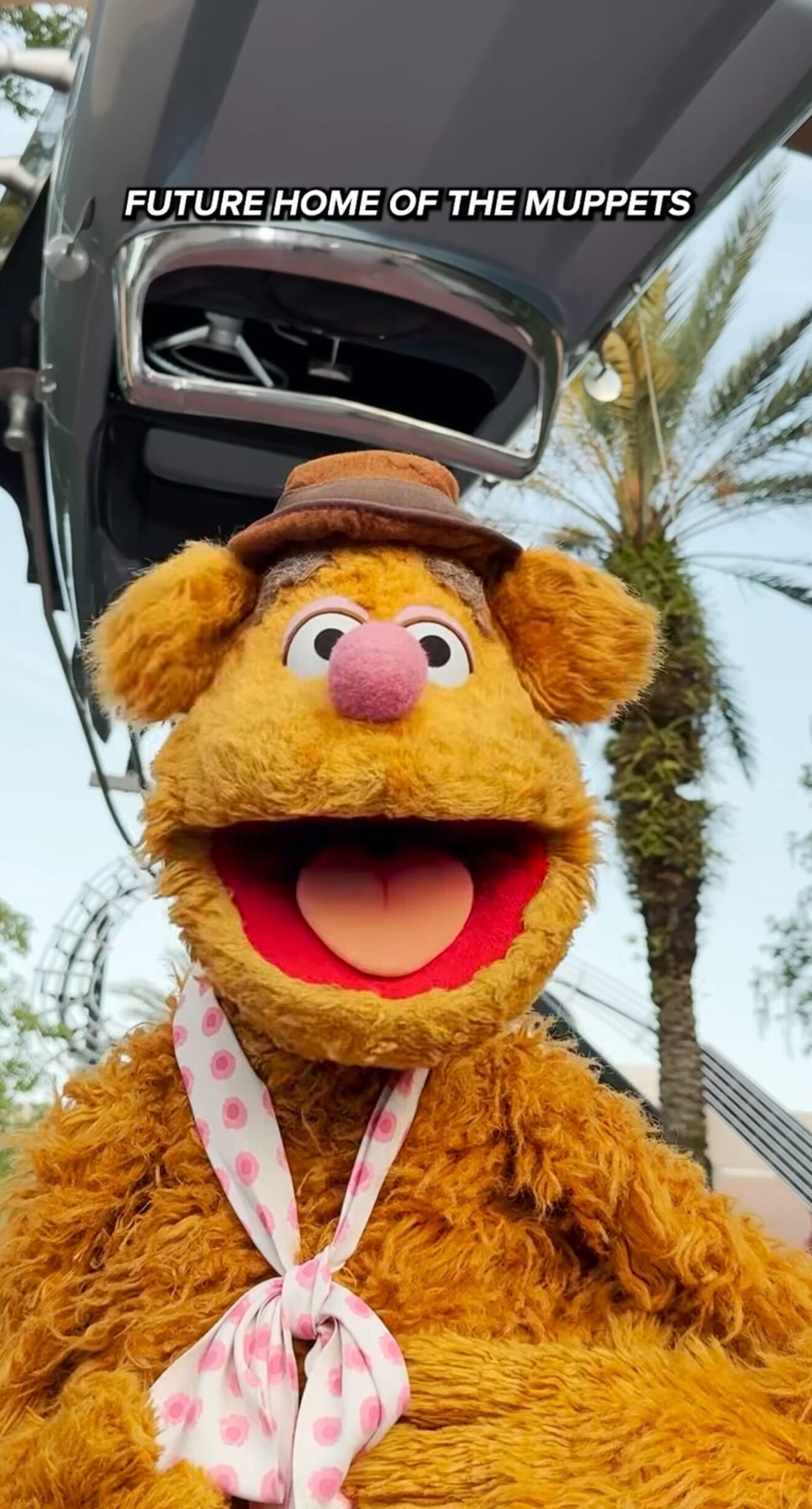 Fozzie Bear smiles outdoors at Hollywood Studios, “FUTURE HOME OF THE MUPPETS” text above and palm trees behind.