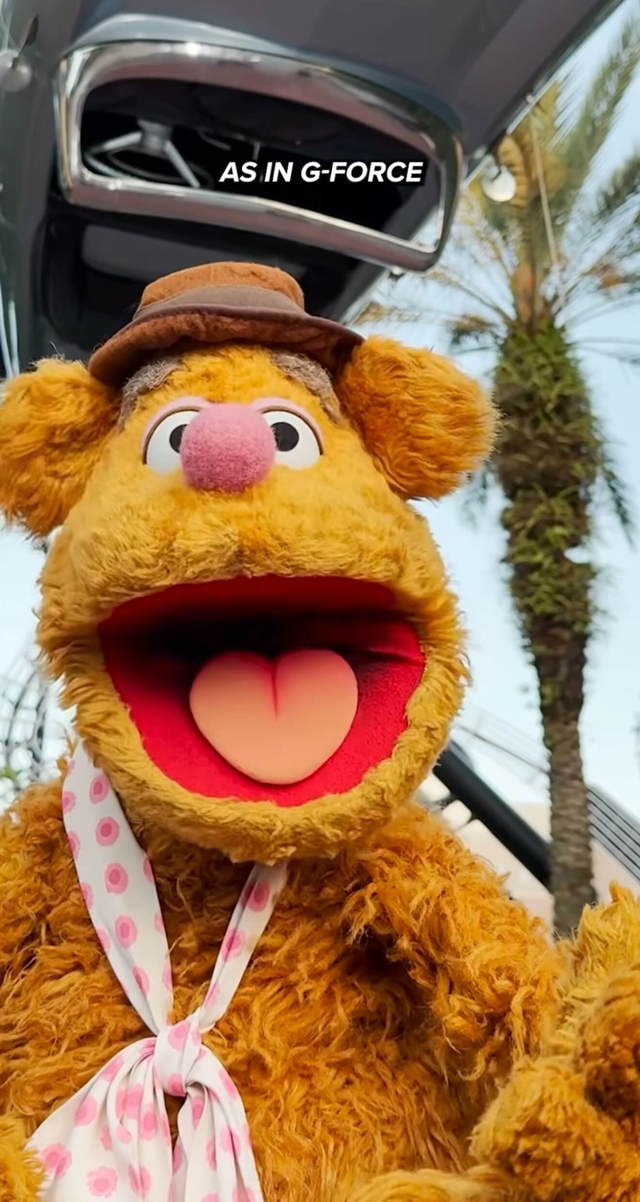 Fozzie Bear smiles widely outdoors at Hollywood Studios, wearing his brown hat and scarf, with palm trees behind him.