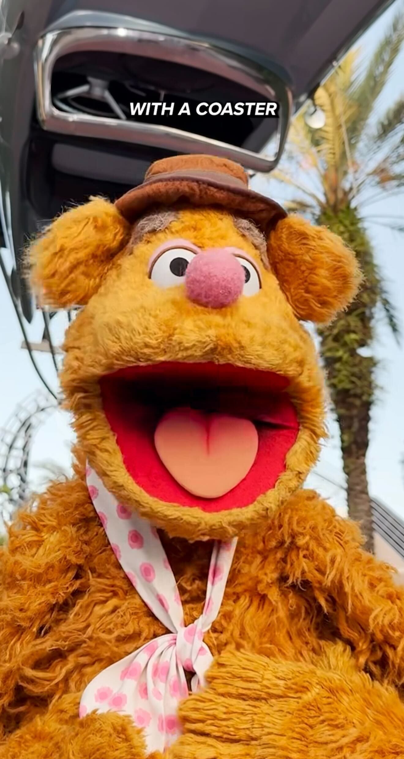 Fozzie Bear wearing a hat and polka-dot scarf grins wide at Hollywood Studios, roller coaster and palm trees behind him.