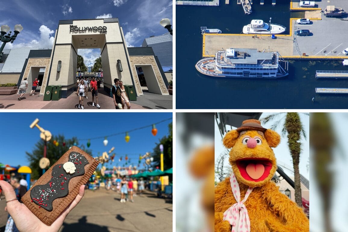 Four images in a daily recap: theme park entrance, marina, snack in hand, and bear costume at an outdoor event.