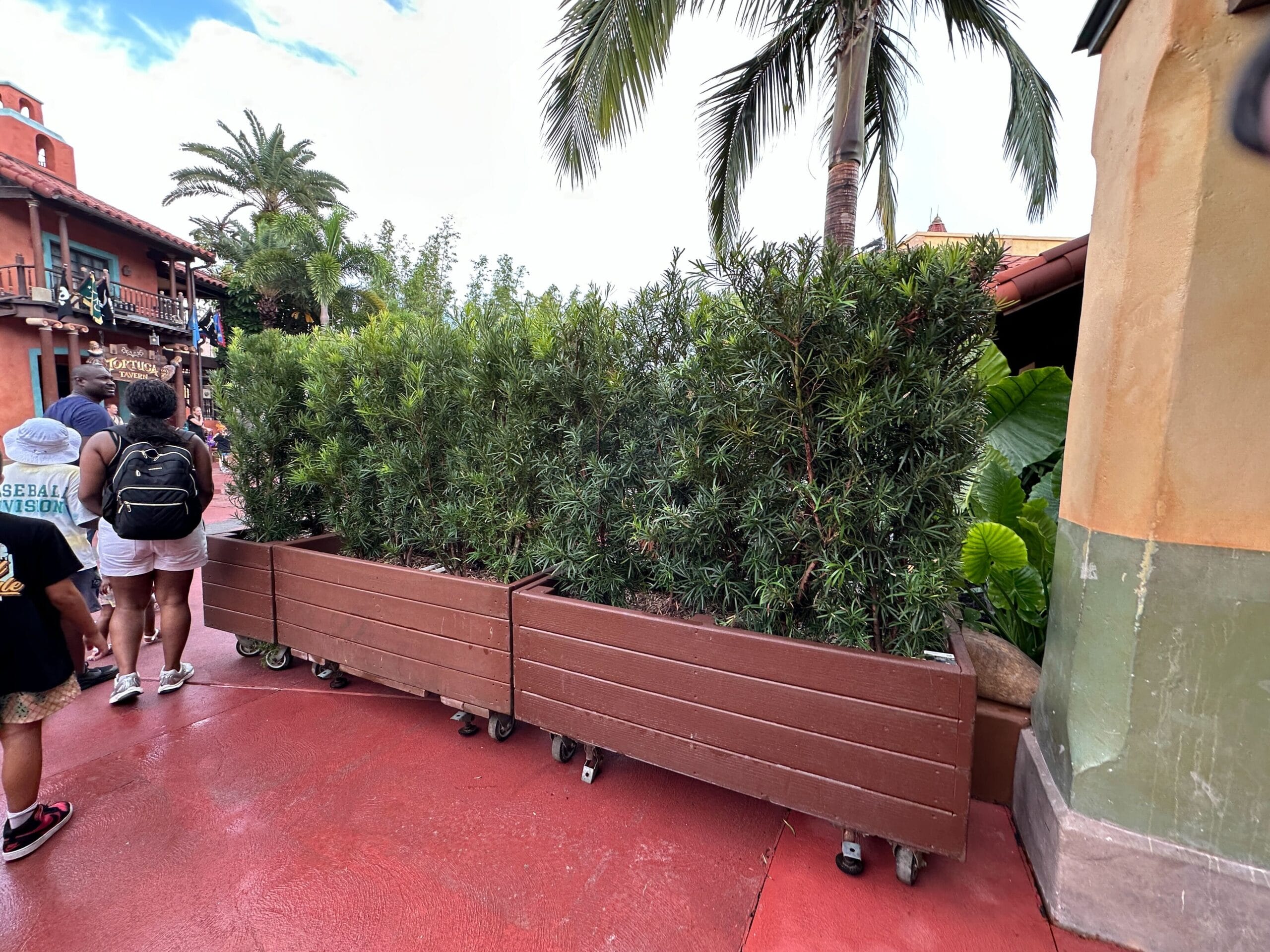 Large planter boxes with tall shrubs block a walkway in a tropical outdoor area, people walking nearby.