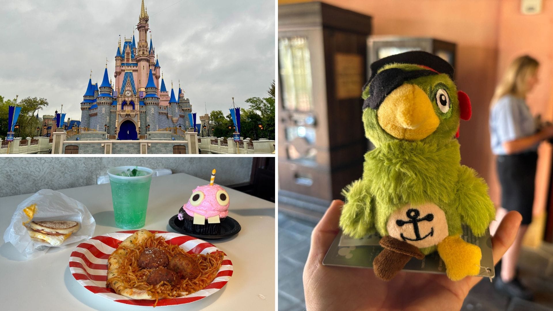 A daily recap collage of Walt Disney World: Cinderella Castle, themed food, and a green pirate parrot plush.