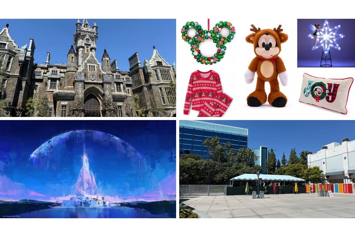 A daily recap collage shows a castle, holiday Disney merchandise, a winter scene, and security tents outside a building.