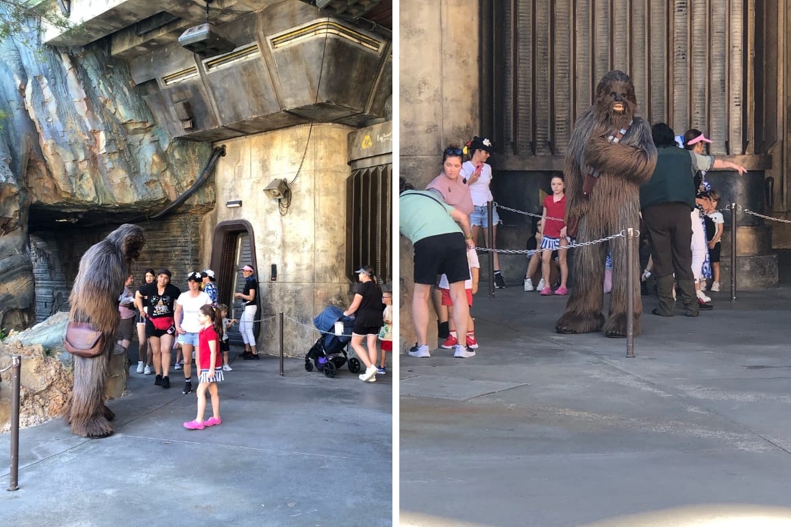 Guests enjoy a Chewbacca Meet and Greet at Star Wars: Galaxy's Edge in Disney's Hollywood Studios.