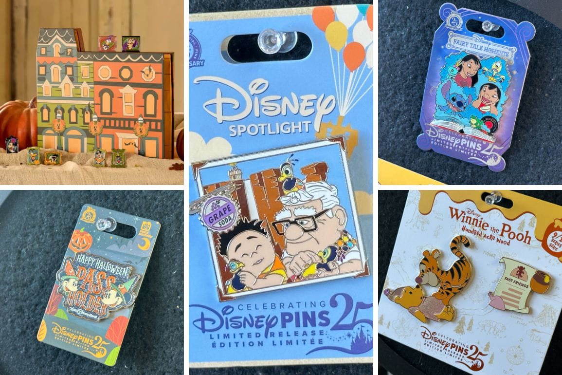Collage of limited edition Disney World pins featuring Up, Stitch, Winnie the Pooh, and Halloween Countdown Pins on display.