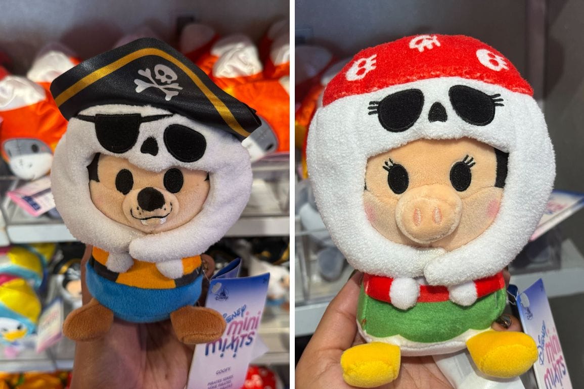 Two plush toys dressed as pirates, including Pirate Goofy and a friend with a red headscarf and pig nose.
