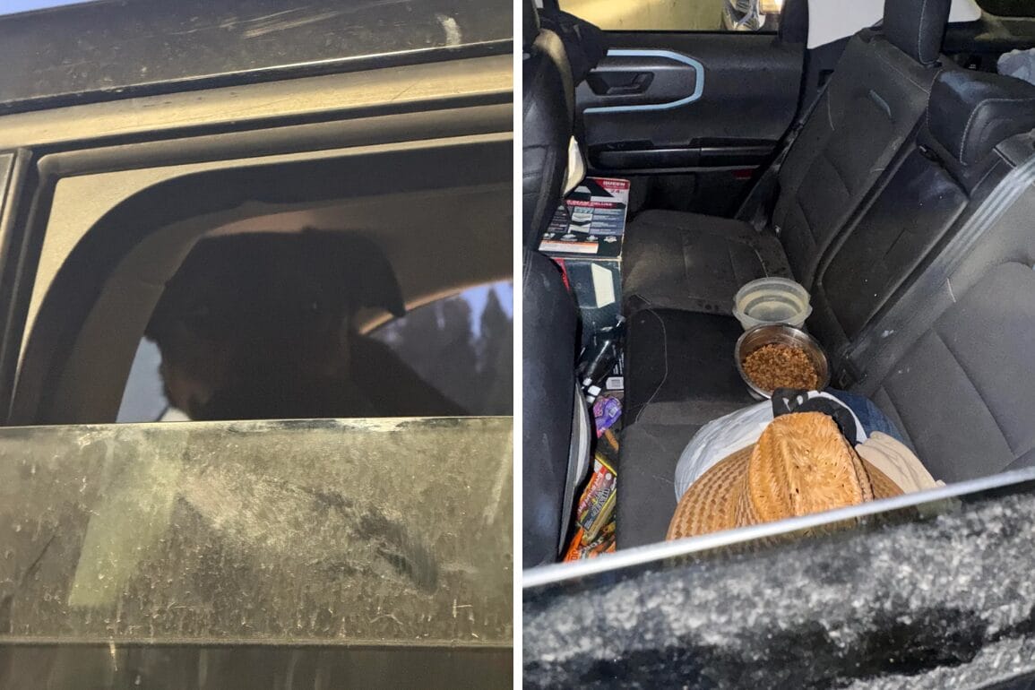 Left: A dog looks out a car window. Right: Dog food bowls sit on the back seat in a messy parking garage.