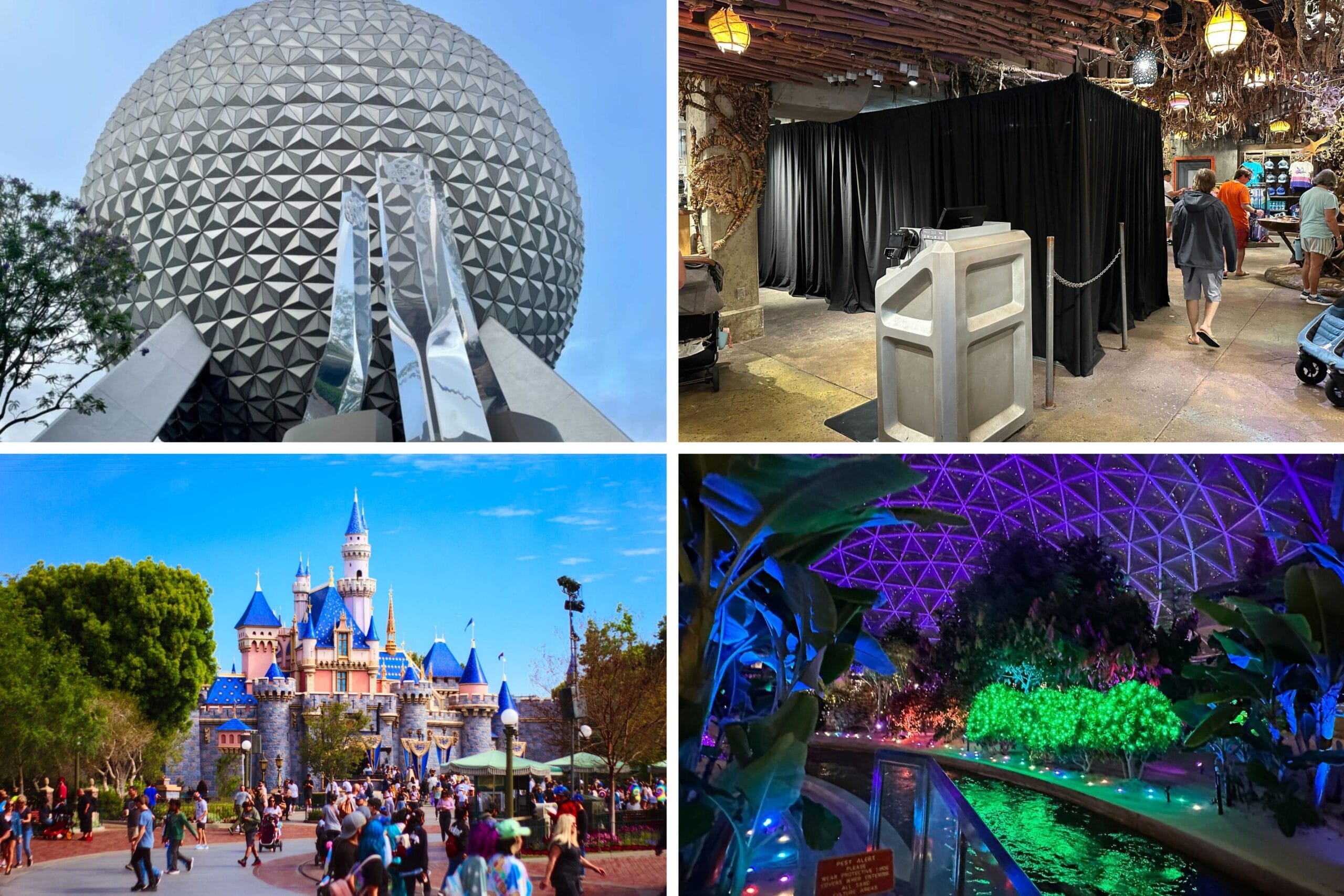 Daily Recap collage: Spaceship Earth, a closed experience in Pandora in Animal Kingdom, Sleeping Beauty Castle in Disneyland, and Living with the Land during the Festival of Holidays.