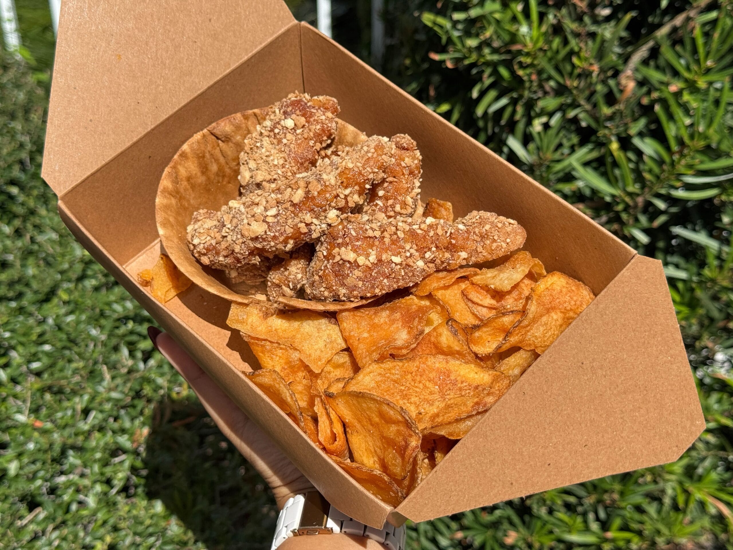 A hand holds a box of crispy chicken strips and potato chips at a Disney park, sunshine highlighting the festive outdoor setting.