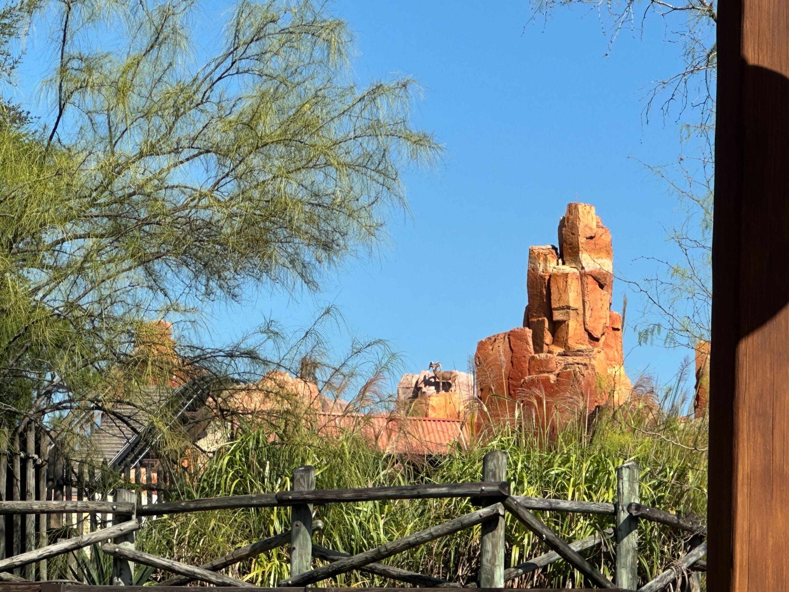 Big Thunder Mountain Railroad’s red rocks soar behind a wooden fence, iconic scenery under a bright sky unique to Disney parks.