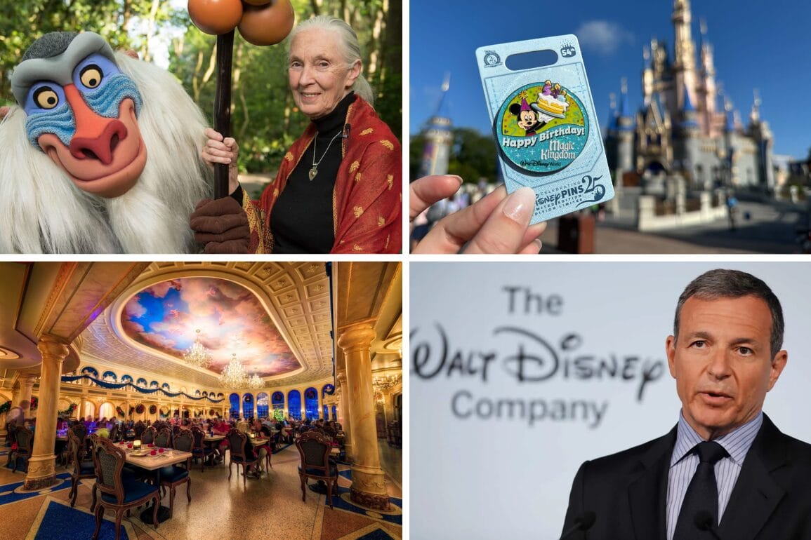 A daily recap collage: Disney scenes with a woman, a theme park ticket, a grand restaurant, and a man at a podium.
