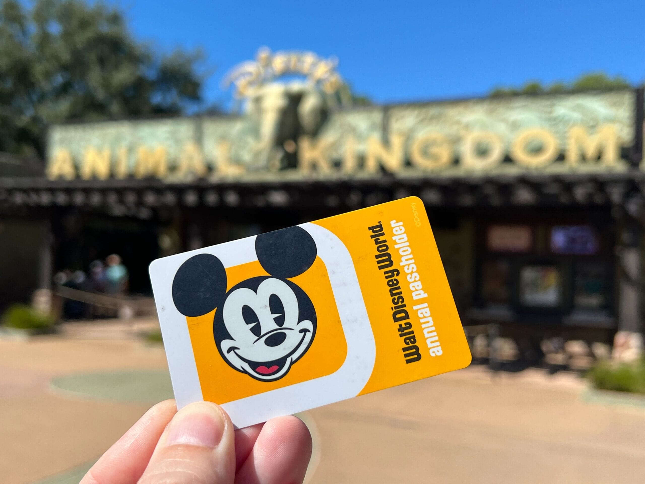 A hand displays a Disney World Annual Pass Renewal card before Animal Kingdom’s entrance, showcasing the Orlando park’s iconic theming.
