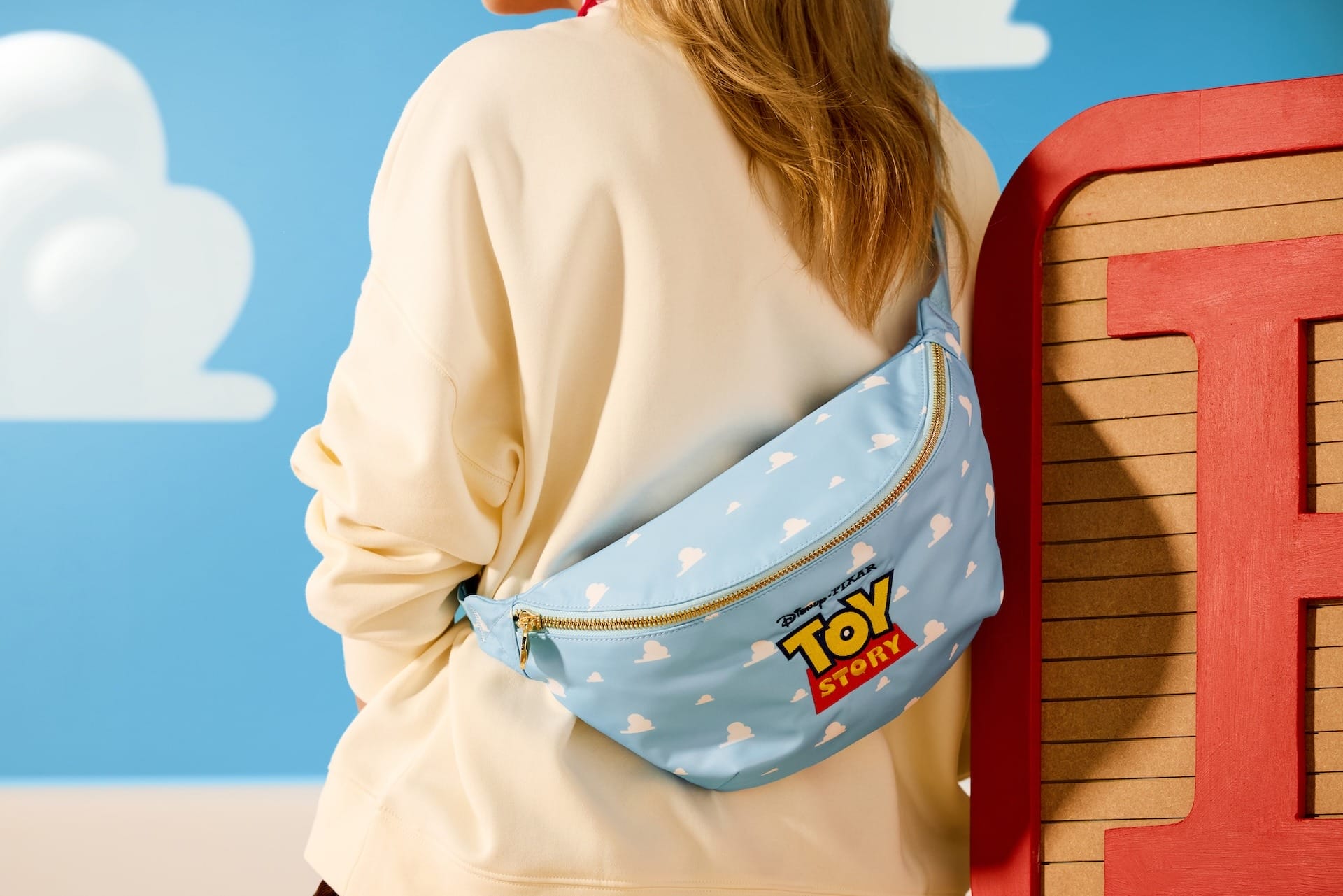 Toy Story 30th Anniversary Merchandise Includes Stoney Clover Lane
