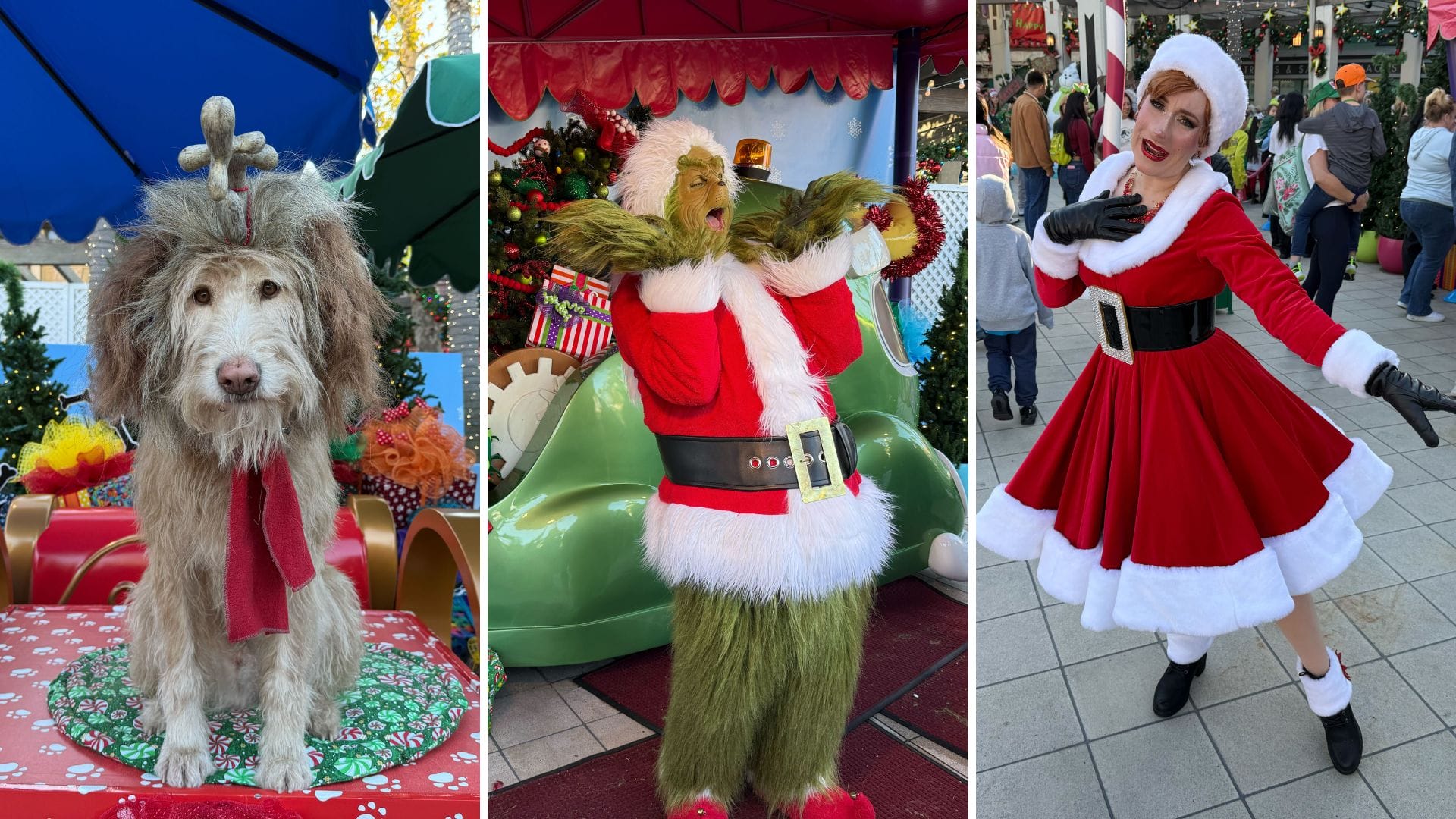 Full List of Grinchmas Character Meet and Greets at Universal Studios Hollywood
