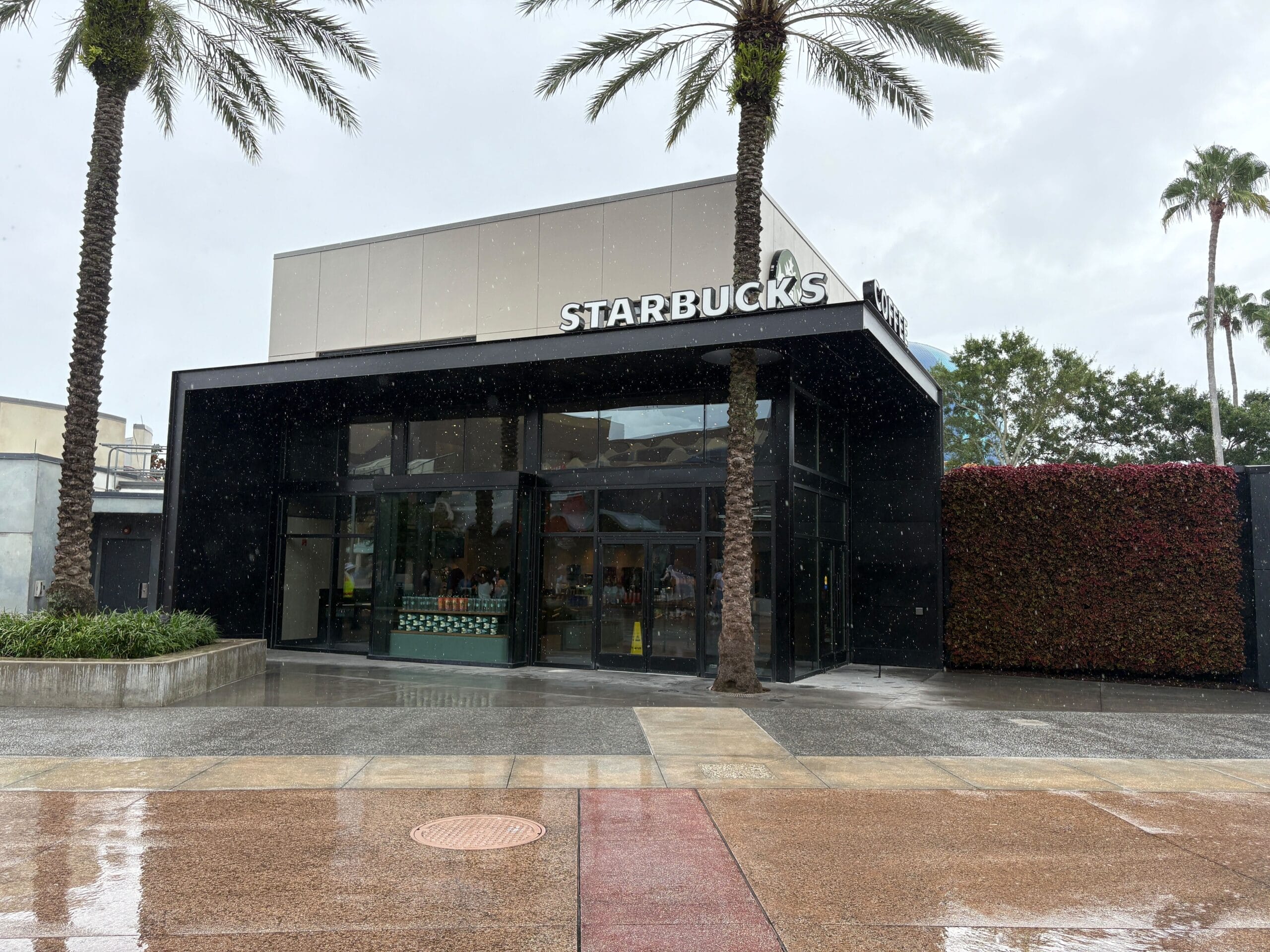 Disney Springs | The Ultimate Guide to Dining at Disney Springs