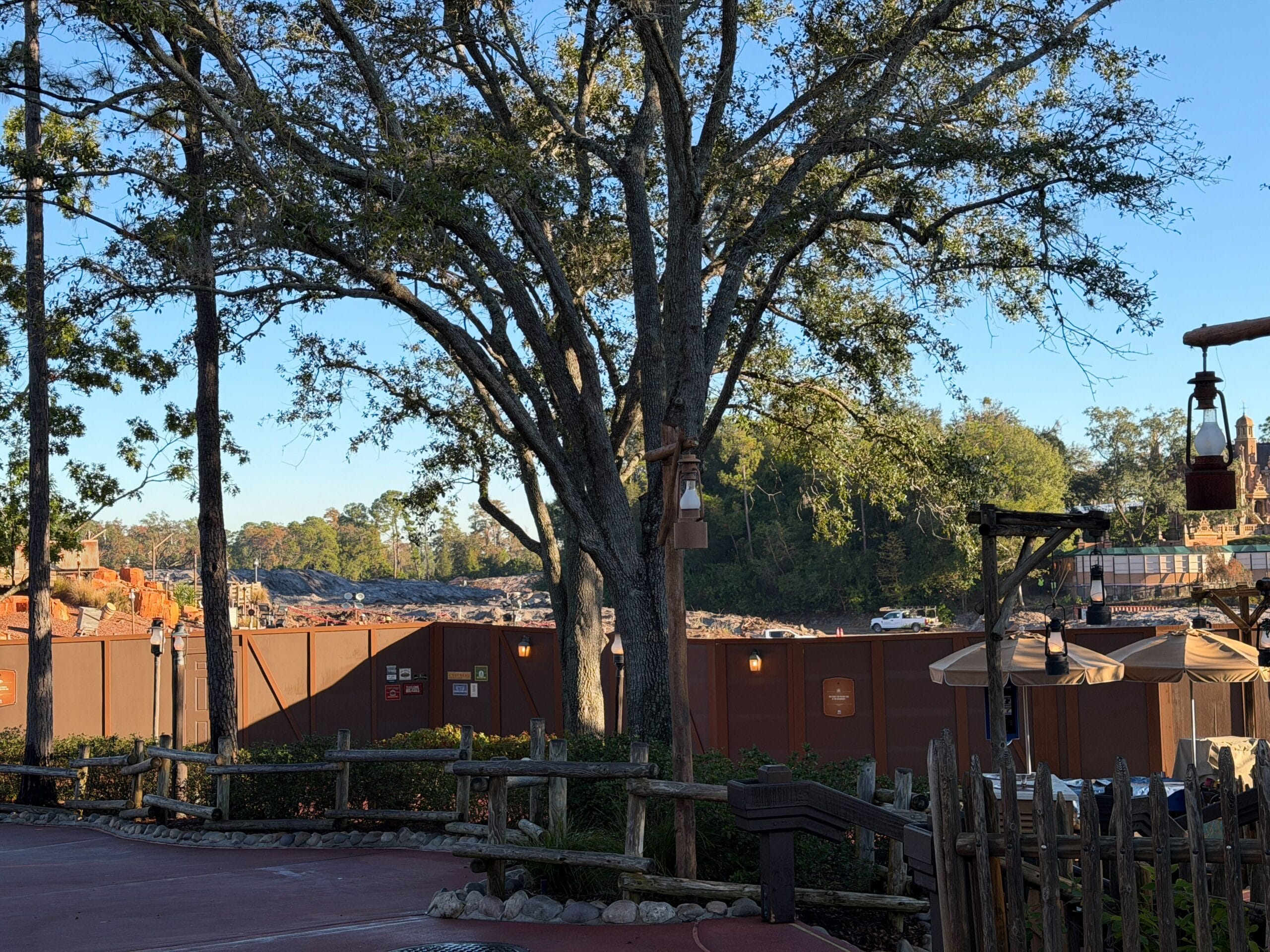 The trees visible in these pictures are all at the back edge of Magic Kingdom.