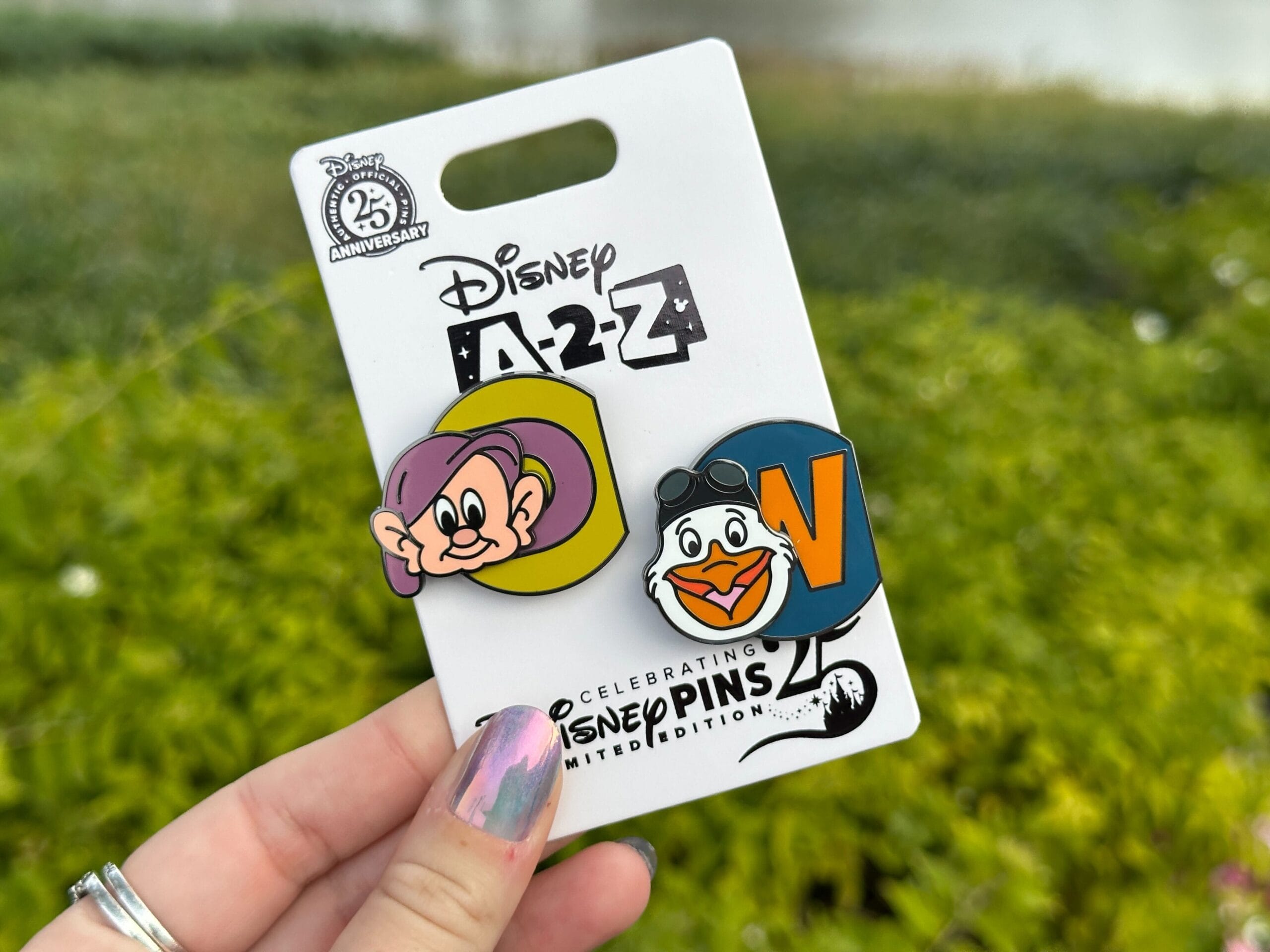 The newest A-2-Z pin set has "D" and "W" pins.