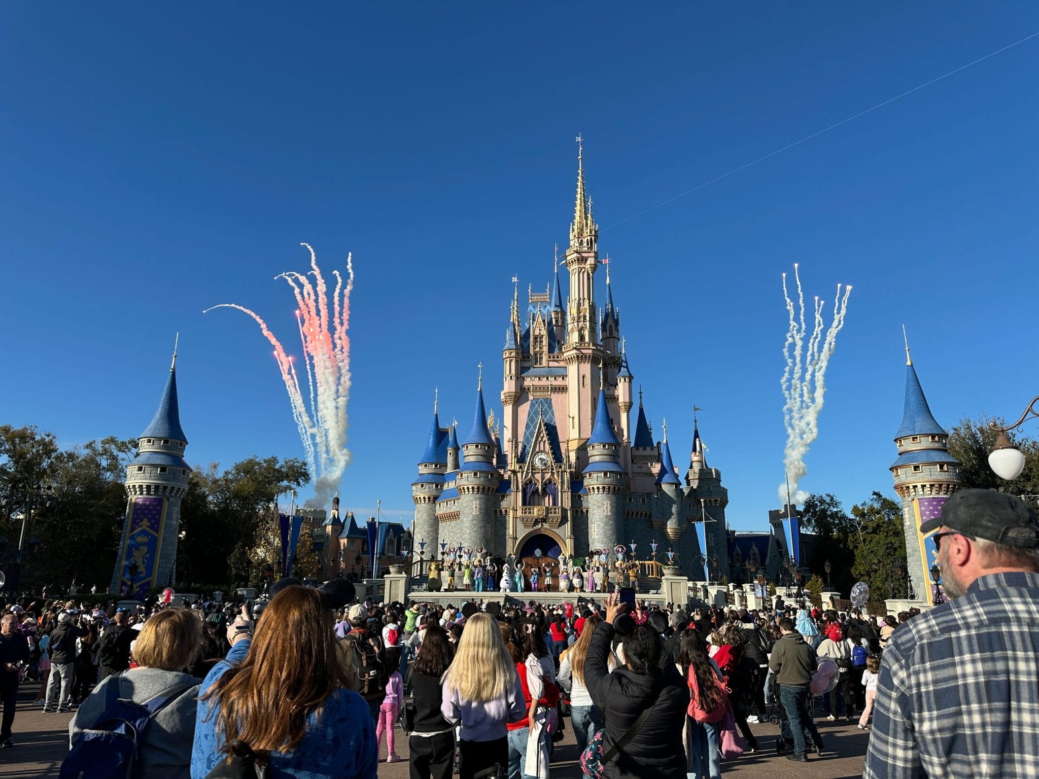 Castle Pyrotechnics Removed from Mickey’s Magical Friendship Faire at ...