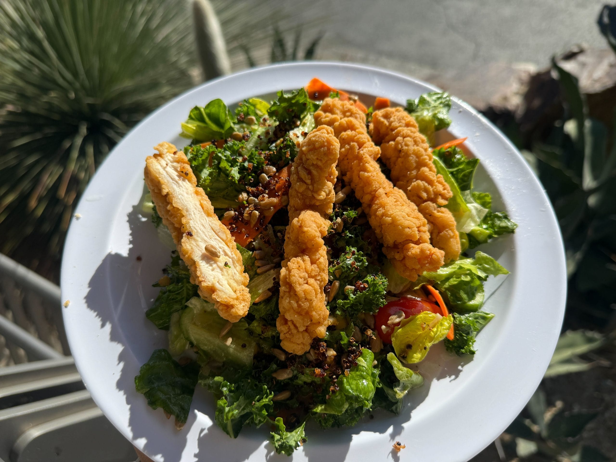 Crispy chicken fenders, romaine and kale, bean and corn salad, cucumbers, tomatoes, crispy quinoa, toasted sunflower seeds, and zesty dressing