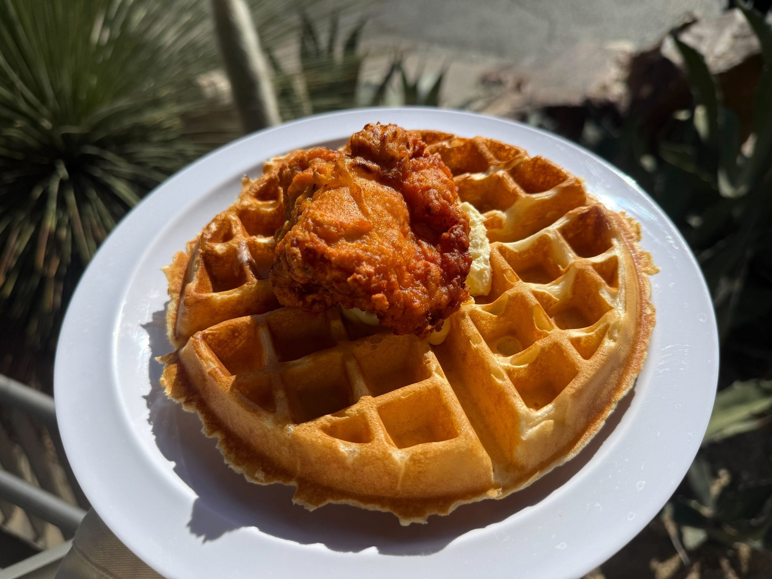 Crispy, golden-fried chicken and buttermilk waffle with whipped butter and maple syrup