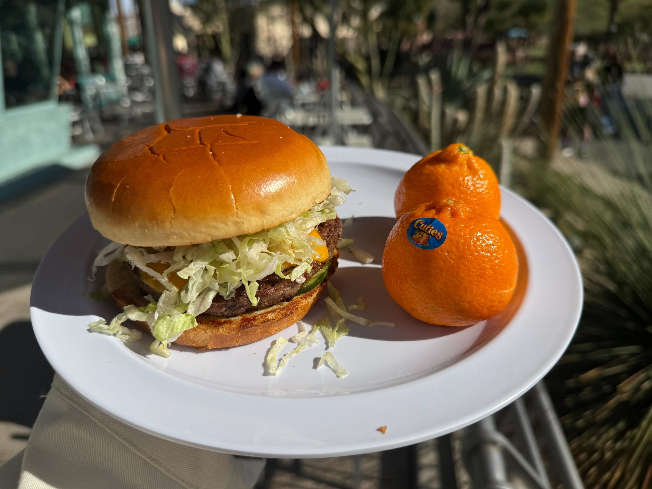 Beef patty, American cheese, lettuce, tomato, and B&B pickles on a toasted bun served with Cuties mandarin oranges