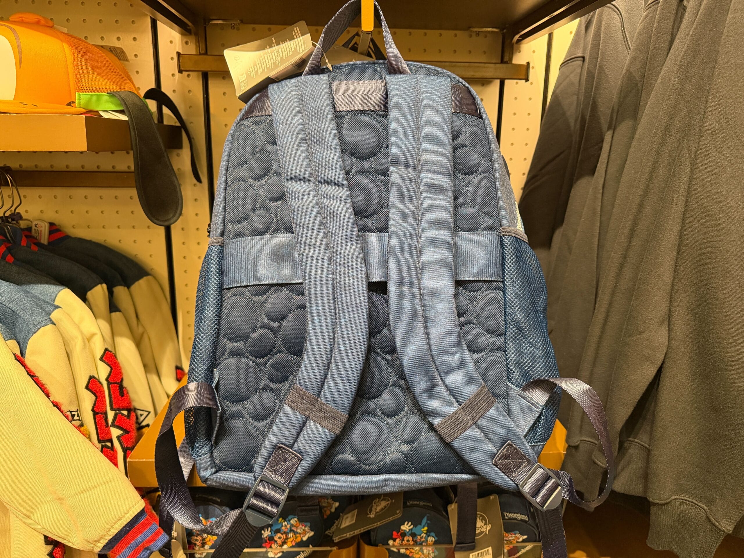 Back of Mickey and Friends backpack.