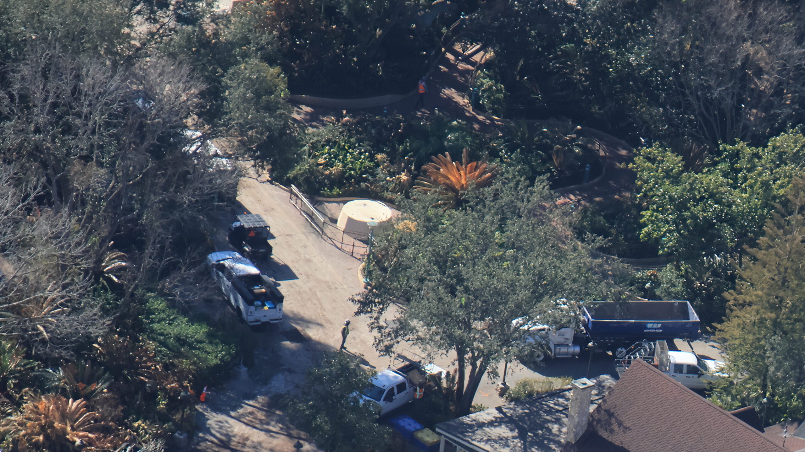 Aladar, Dino-Sue Removed from DINOSAUR Courtyard at Animal Kingdom