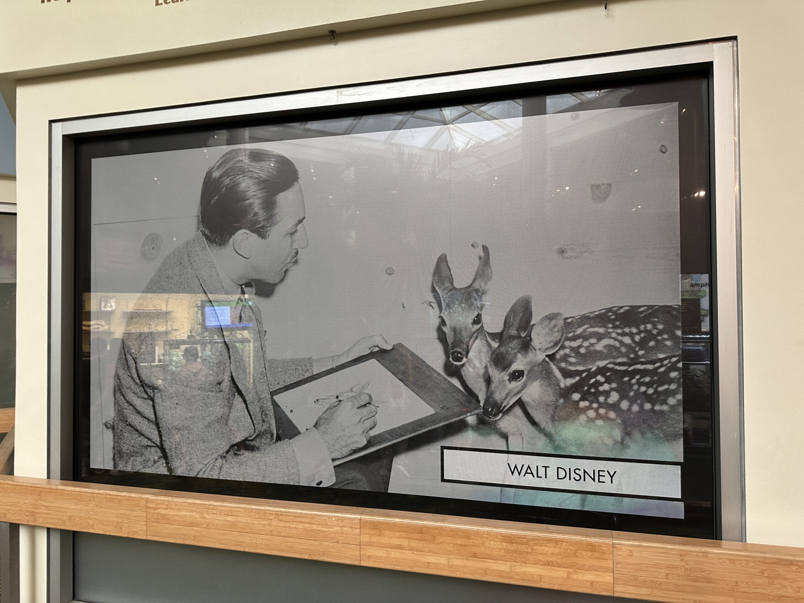 The Animation Experience at Disney's Animal Kingdom