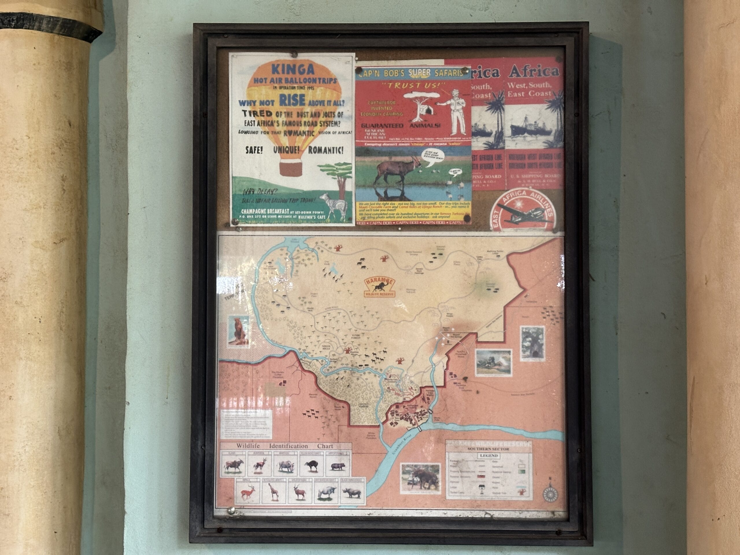 Rafiki's Planet Watch at Disney's Animal Kingdom