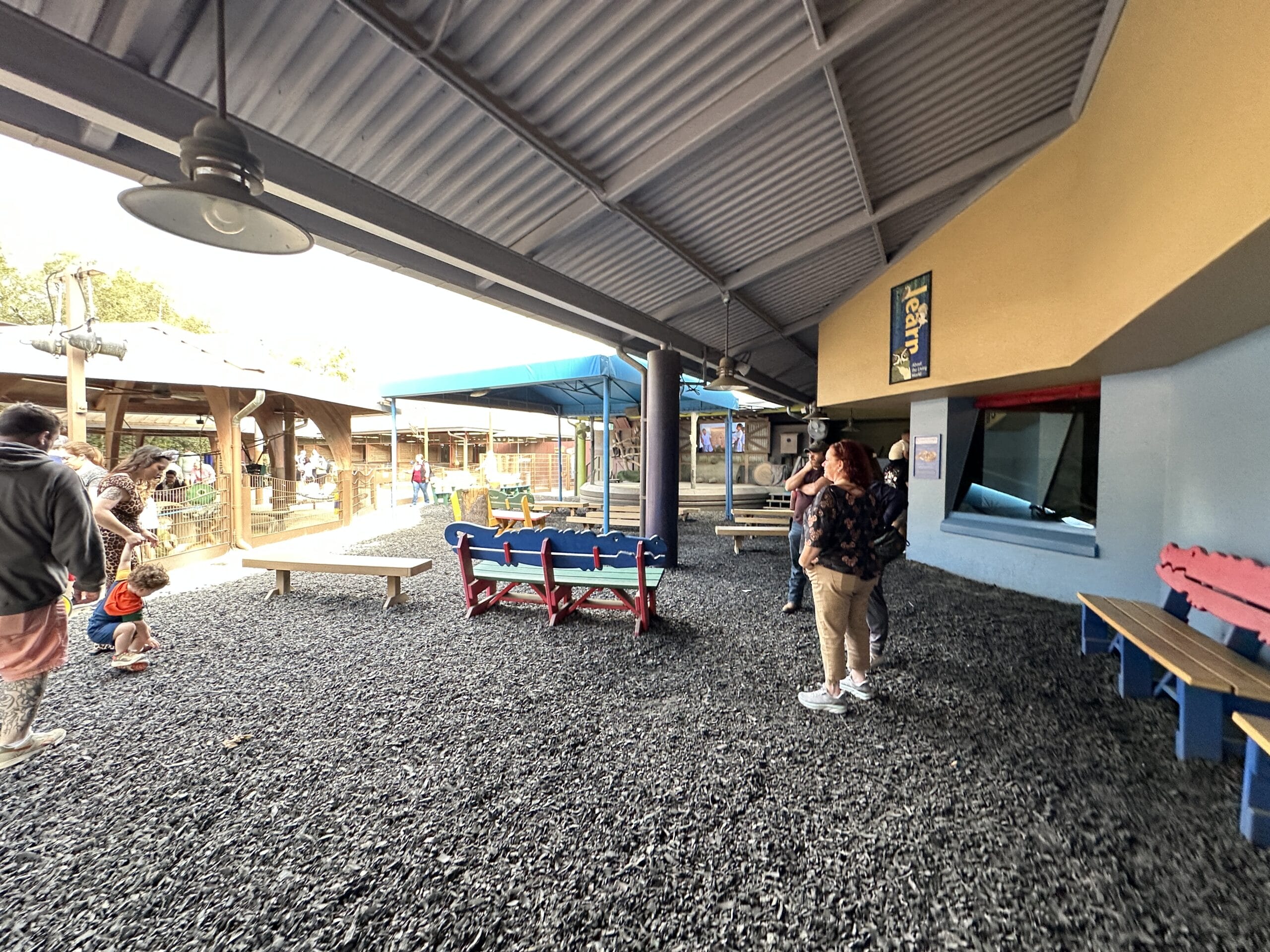 Affection Section at Disney's Animal Kingdom