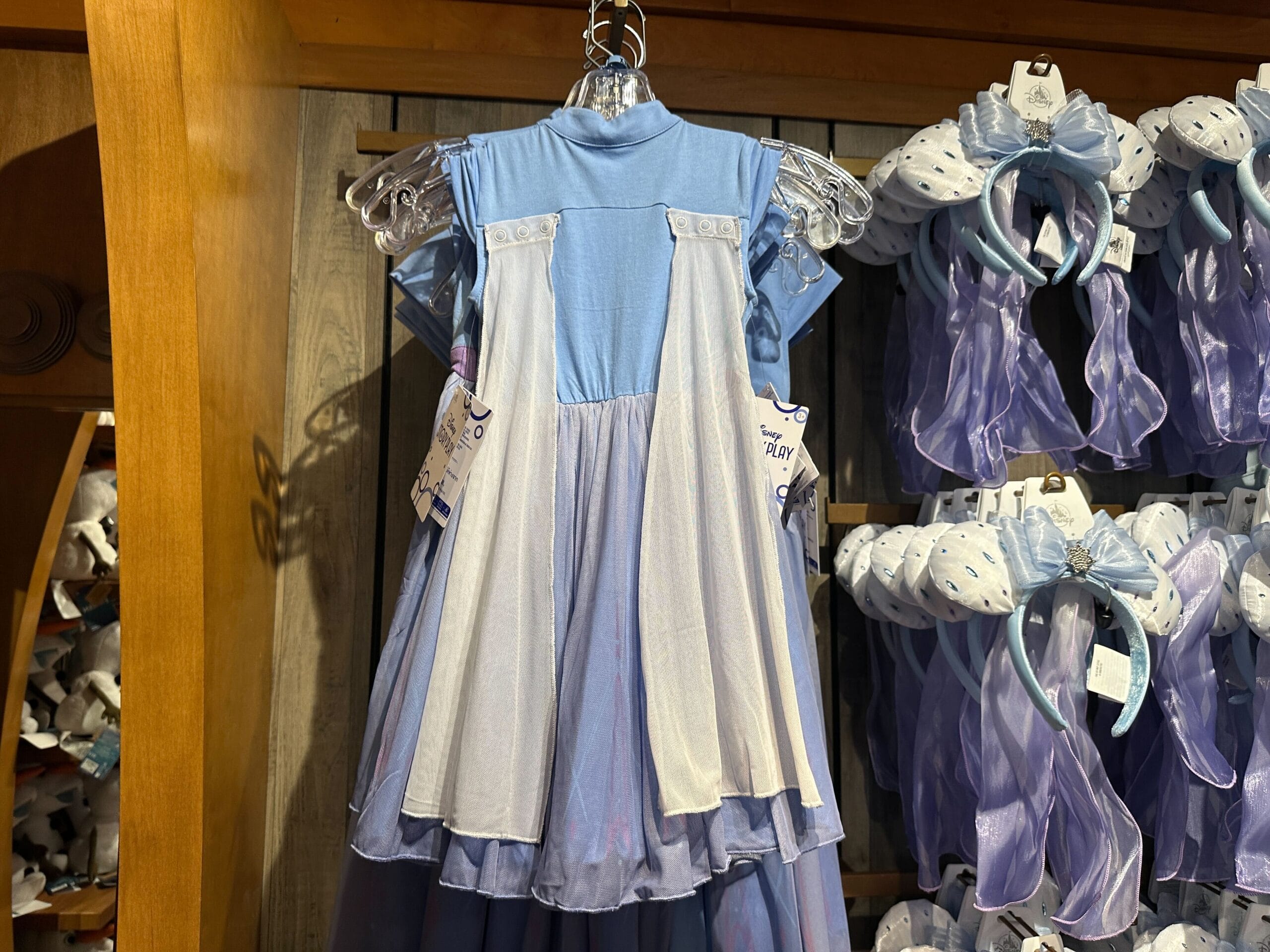 Back of the Youth 'Frozen 2' Elsa Dress.