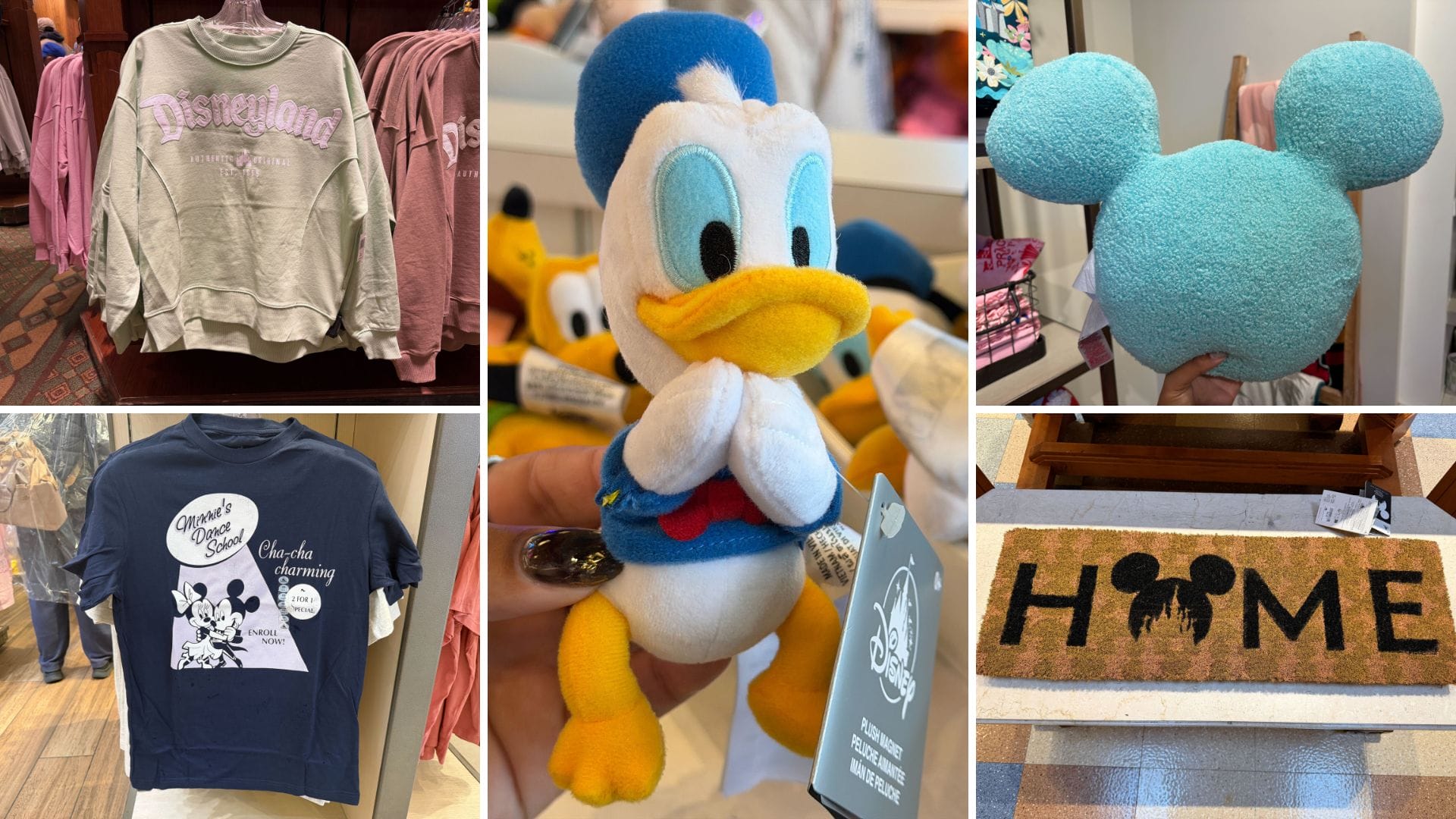 New Disneyland Home Goods, Apparel, and Magnetic Plush