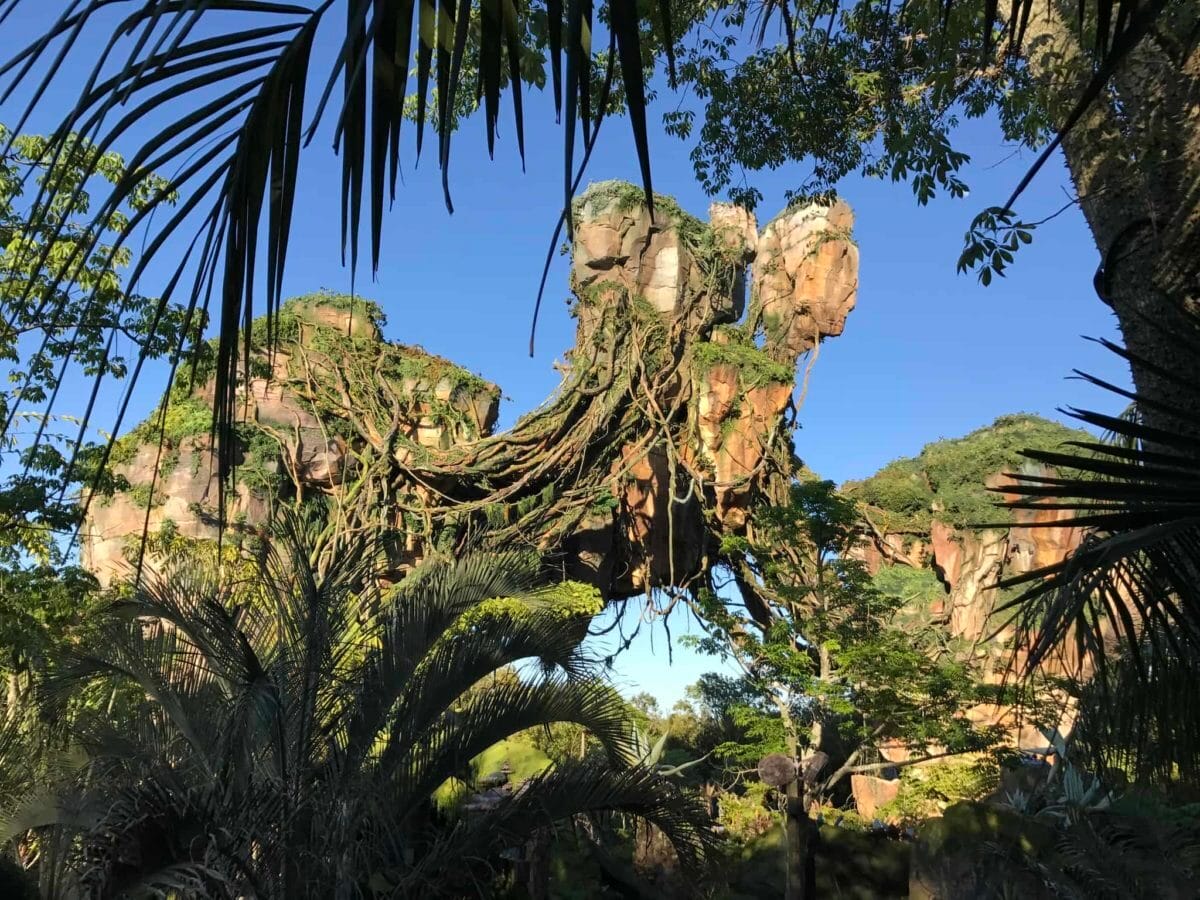 The floating mountains in Pandora - The World of Avatar in Disney's Animal Kingdom in Walt Disney World