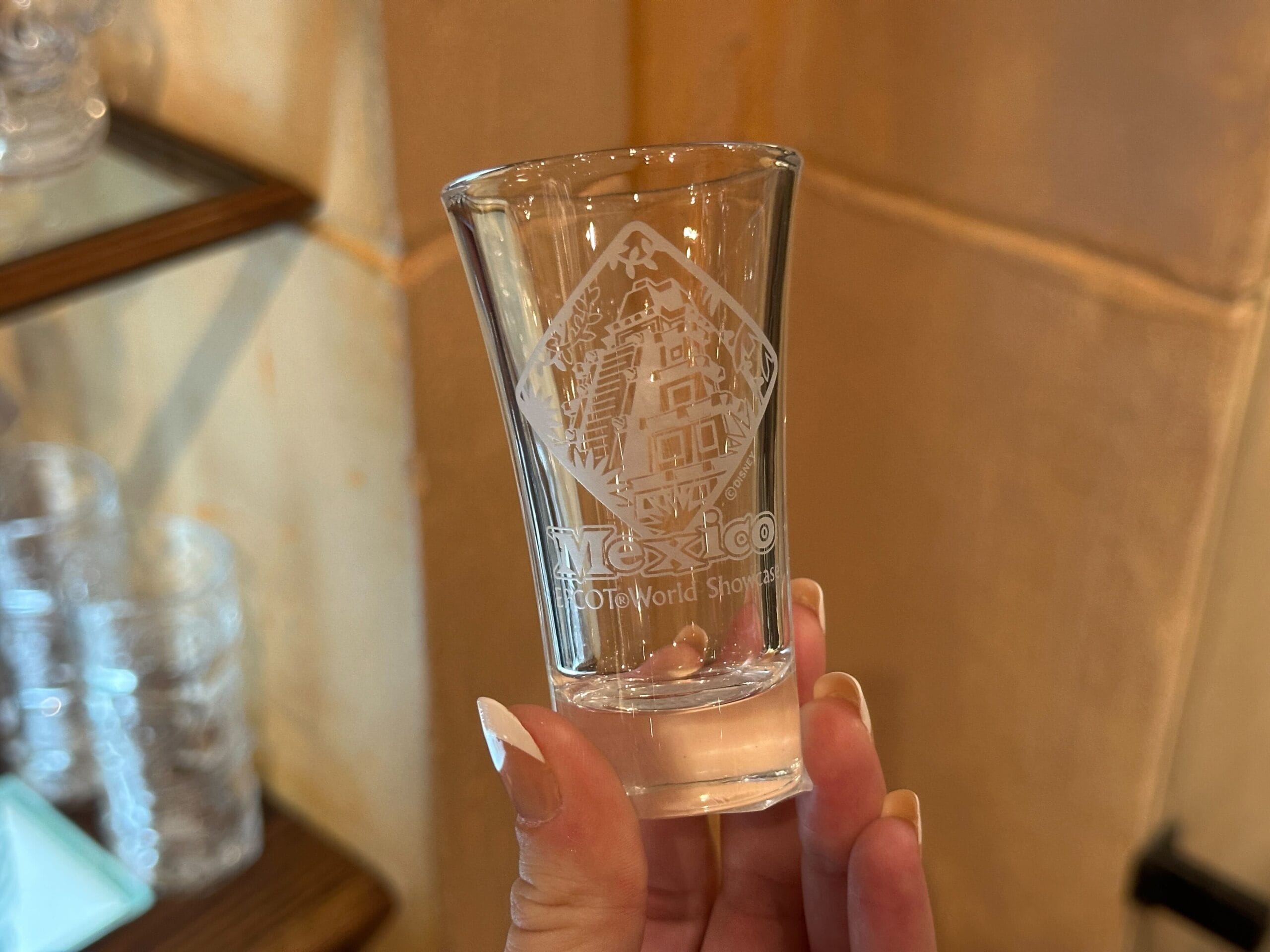 Mexico Pavilion Shot and Rocks Glasses Now Available at EPCOT