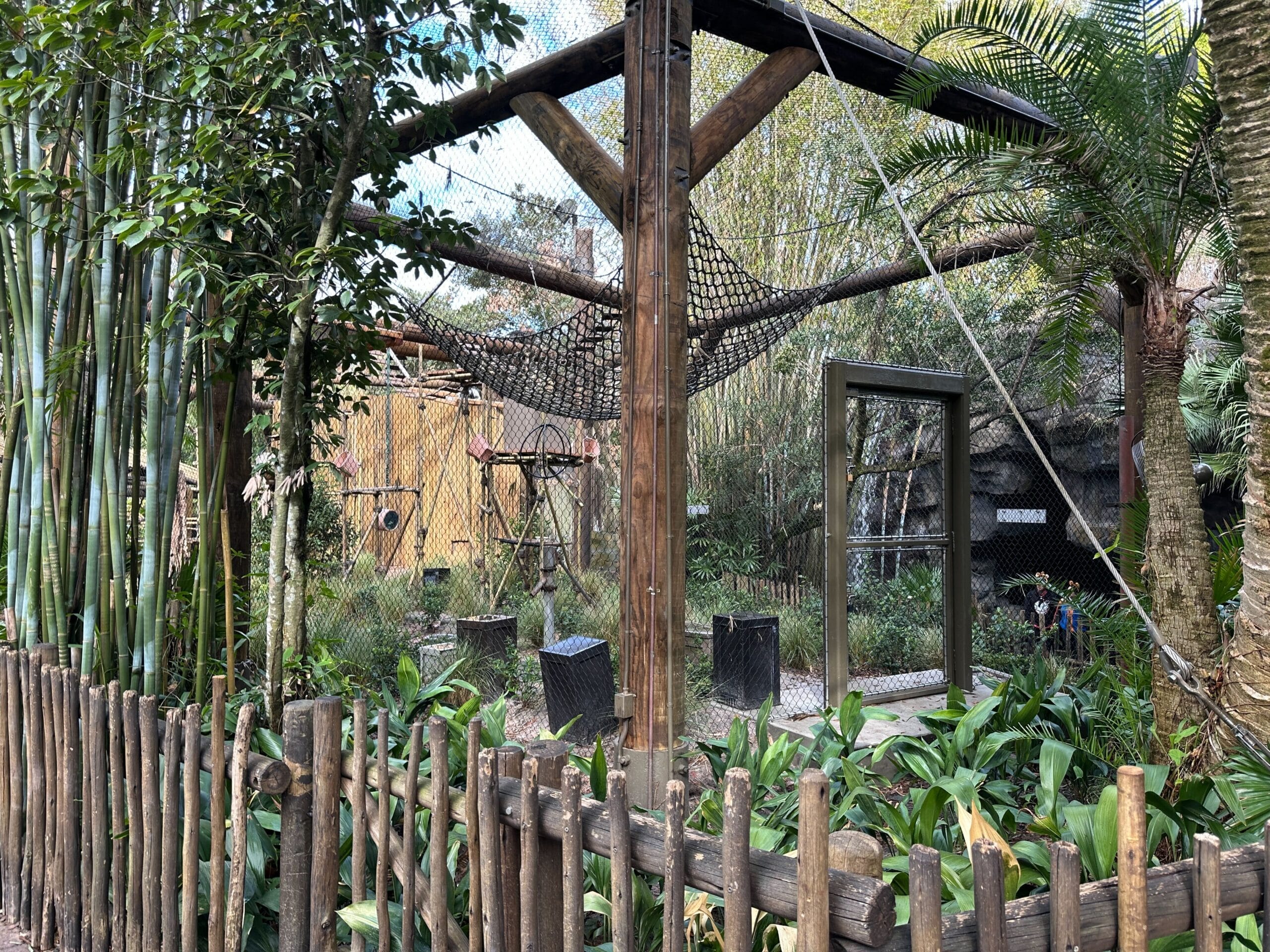 Another view of the enclosure shows the new bridges, platforms, and netting for the monkeys to play on.