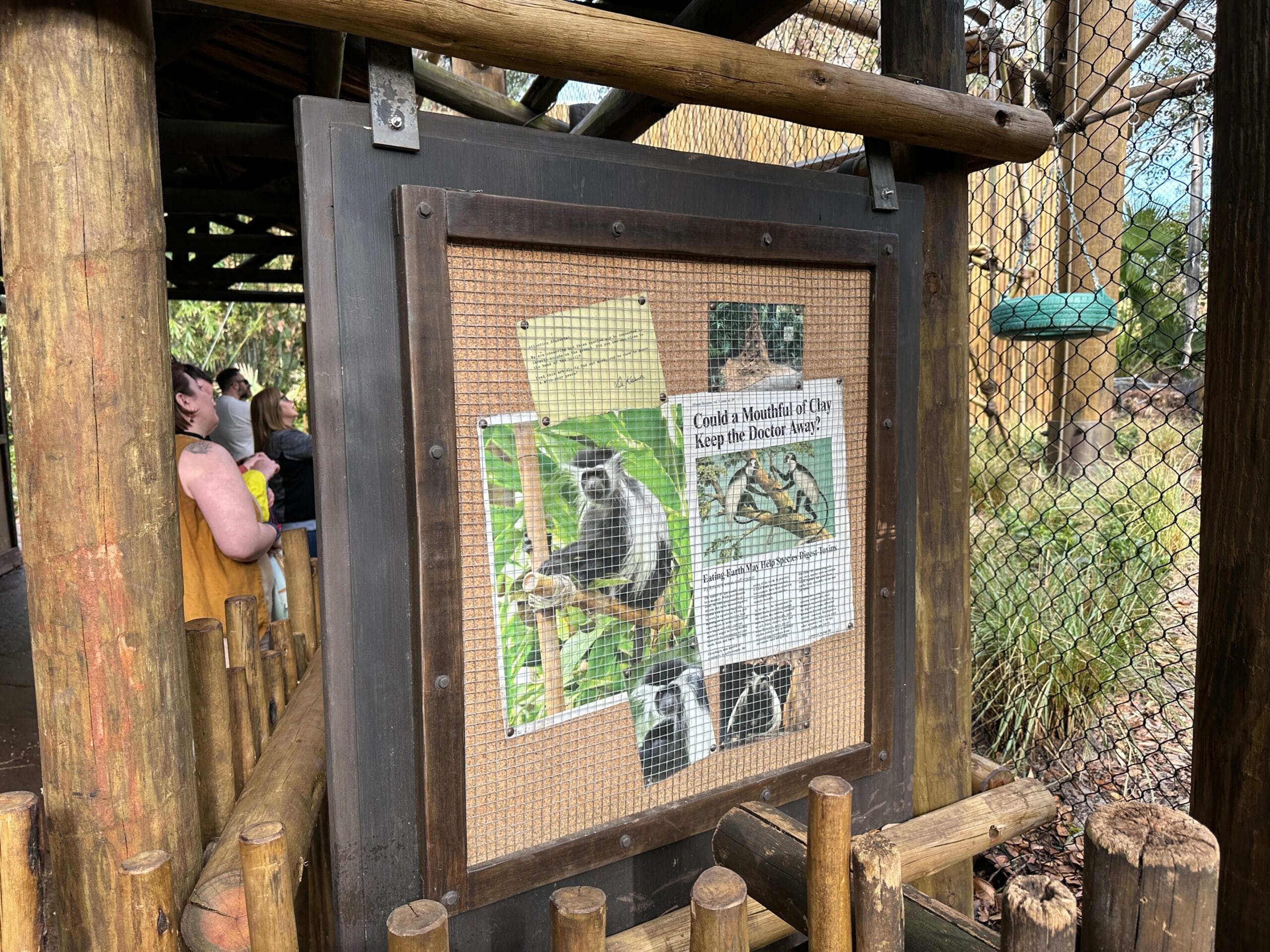 Signs posted around the exhibit show pictures of the Angolan colobus monkey and information about the species, such as their black-and-white coloring and where they naturally live.