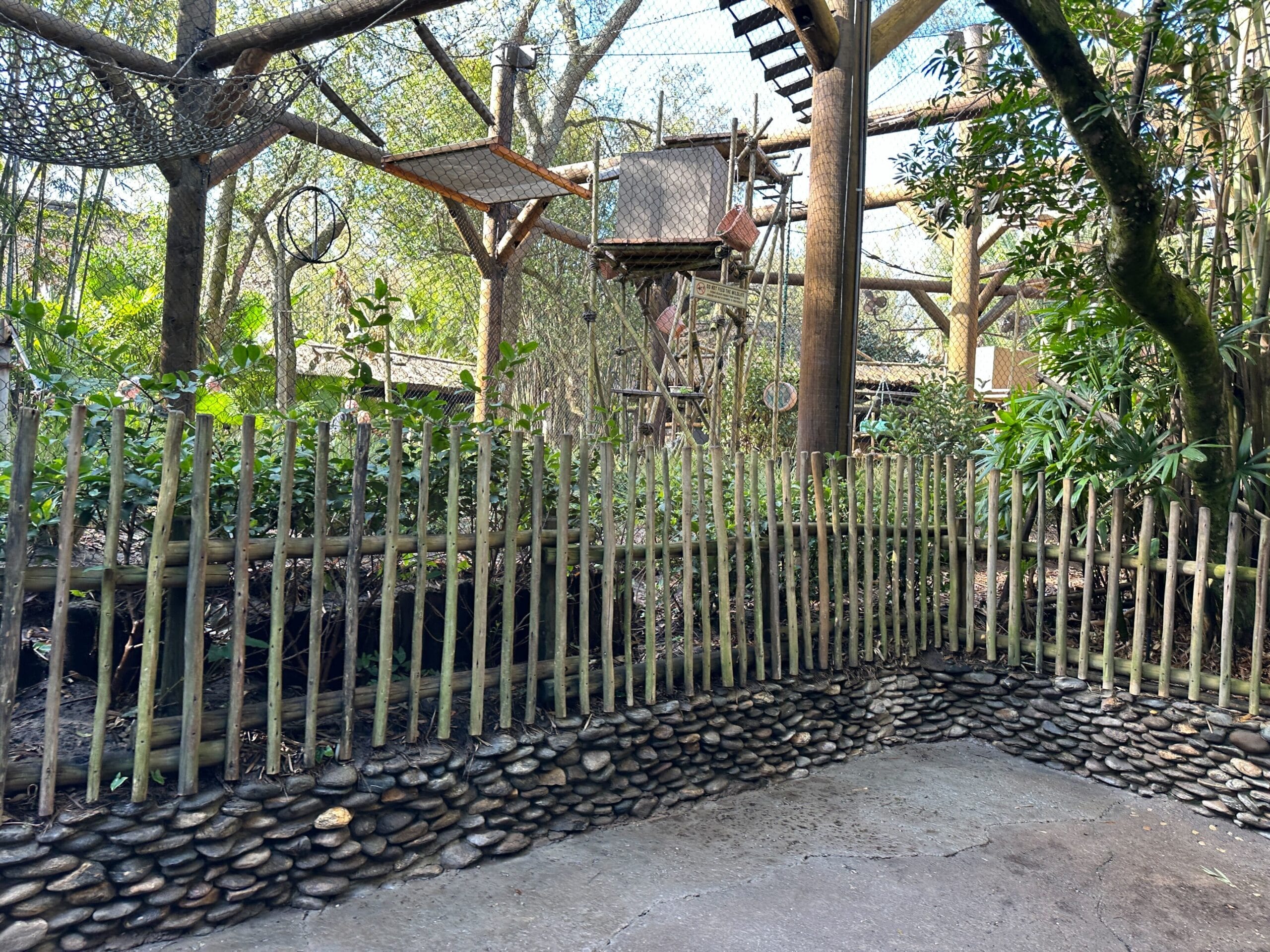 We last reported earlier this month that the walls surrounding the exhibit had started coming down, exposing all the new wood platforms, bridges, and nets that were installed as part of the months-long refurbishment. The Angola colobus monkey exhibit sign is now visible since our last report.