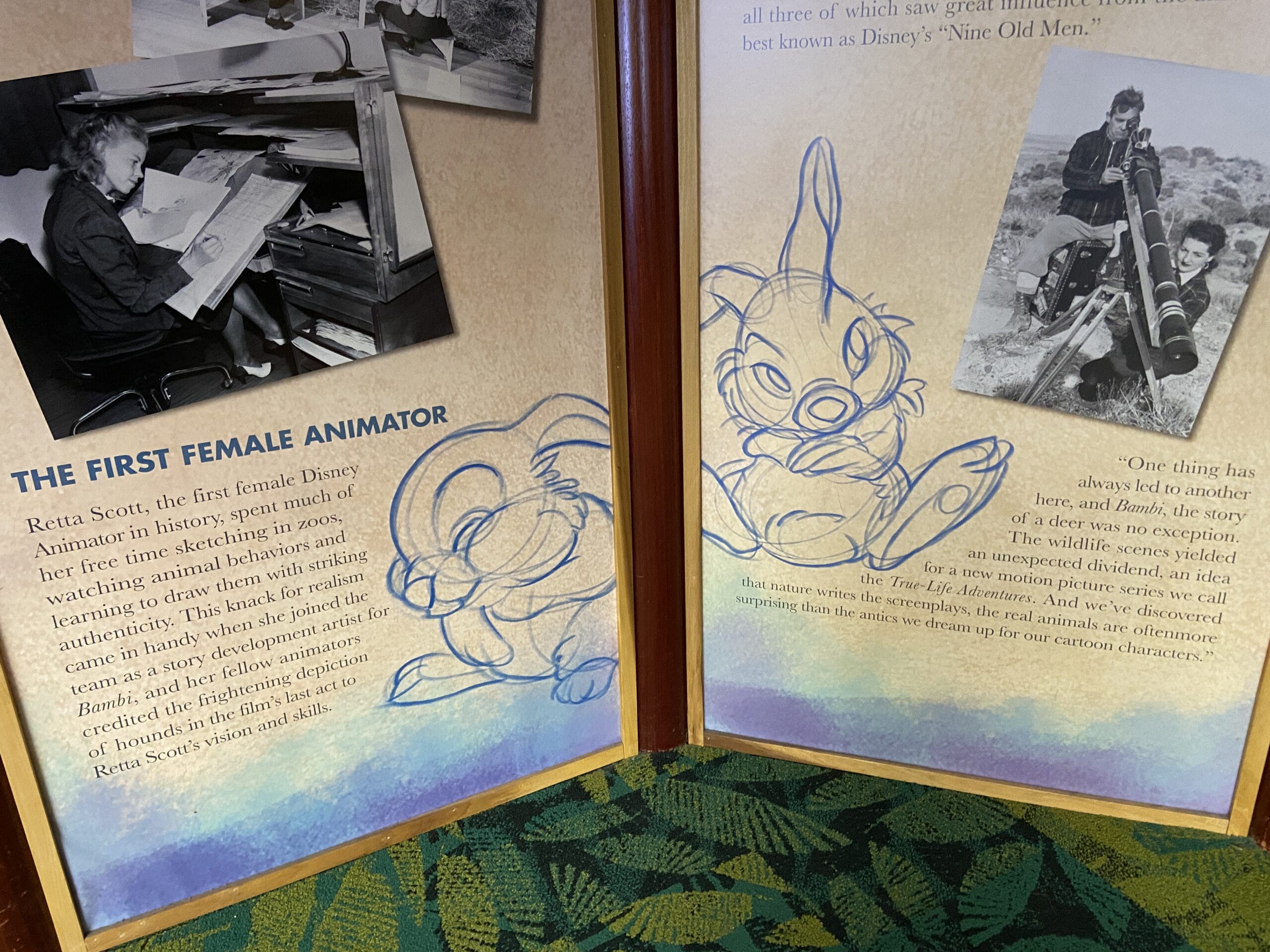 The Animation Experience at Disney's Animal Kingdom