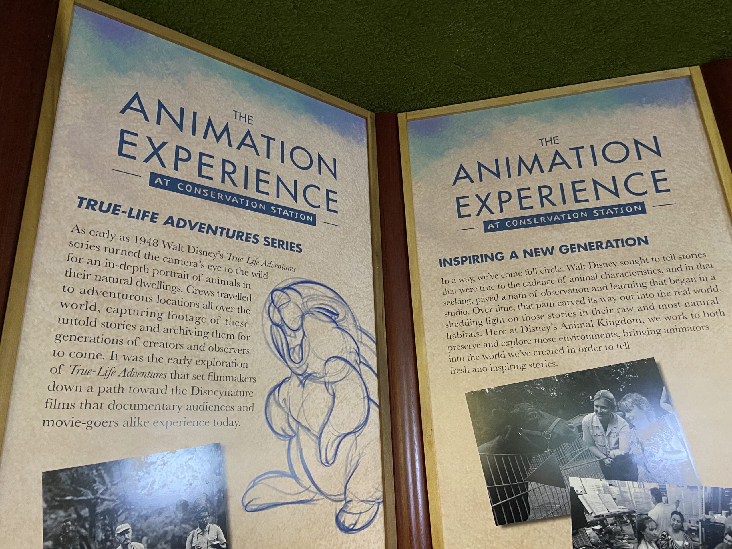 The Animation Experience at Disney's Animal Kingdom